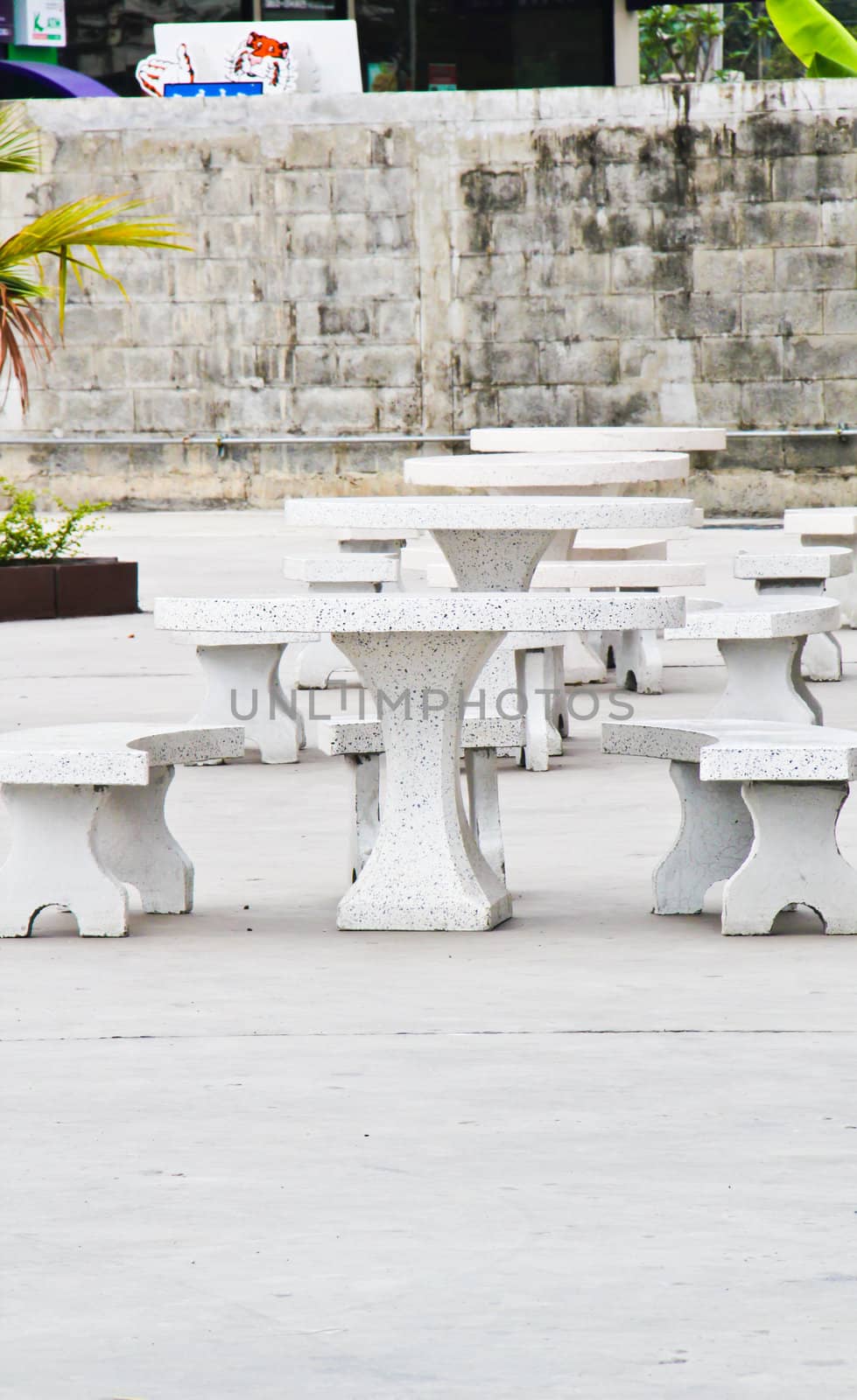 Row of marble chairs by coleorhiza