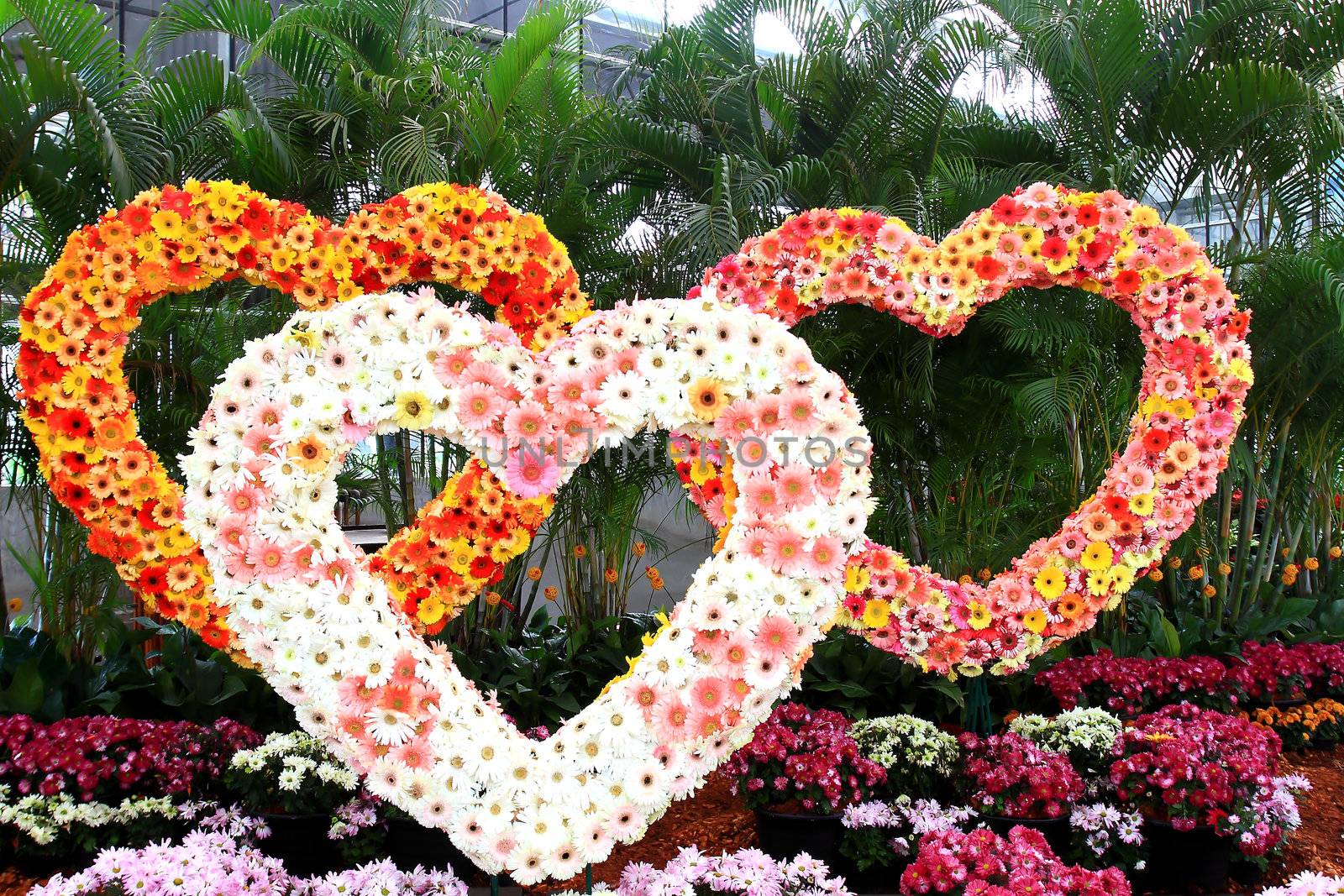 Three Heart made of flowers