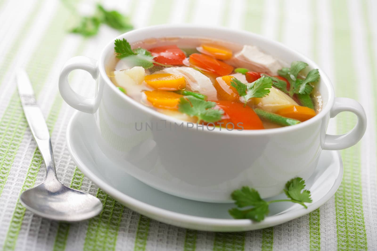 chicken soup with vegetables