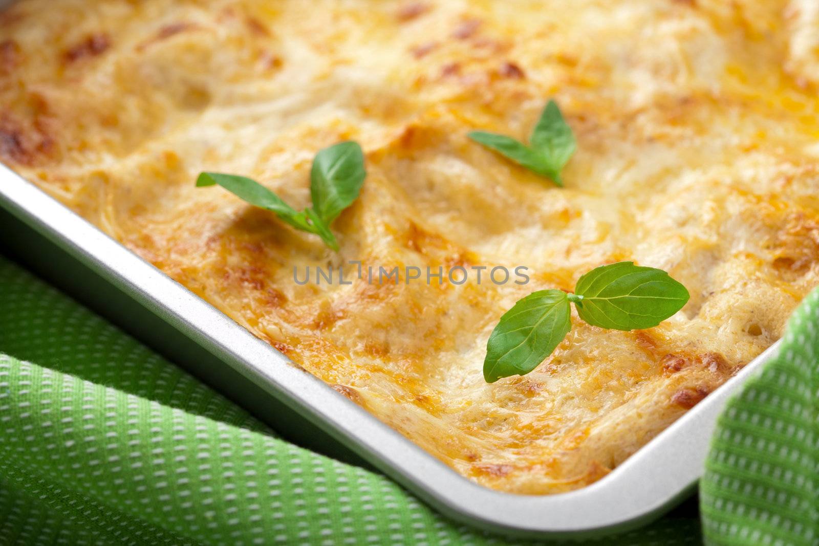classic lasagna bolognese 