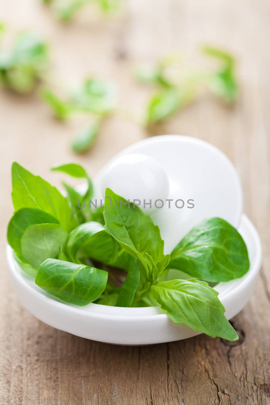 mortar with fresh herbs 