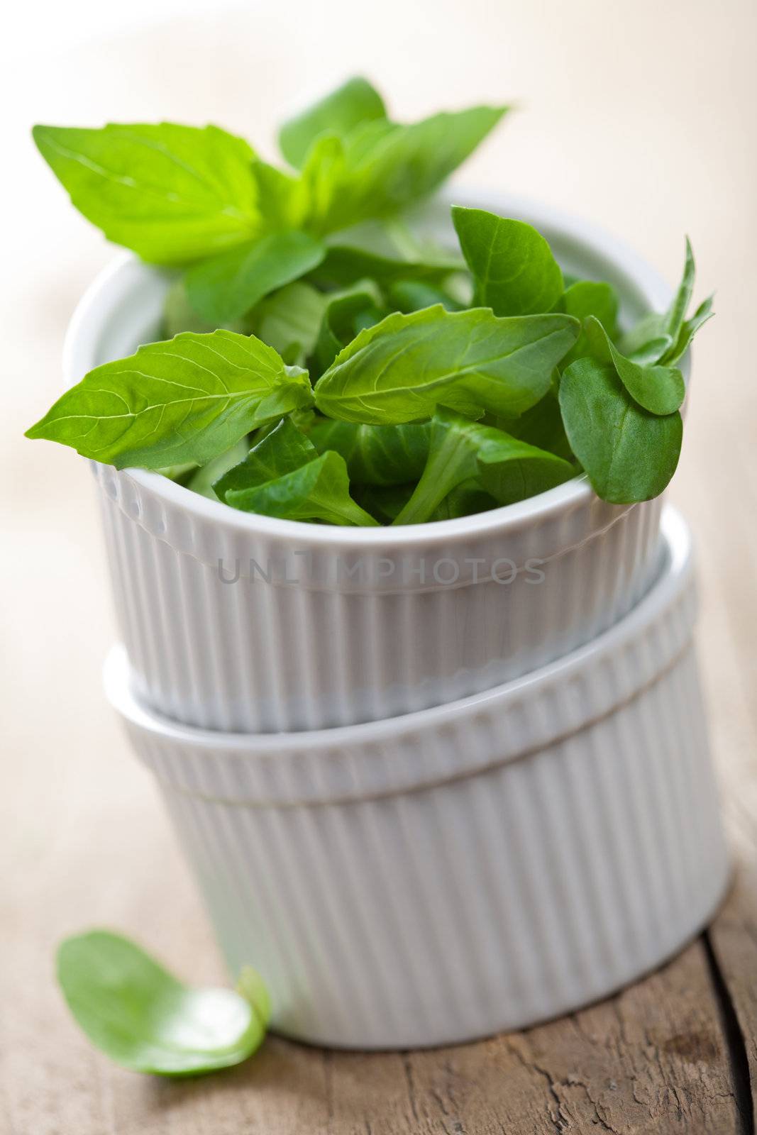 fresh herbs 