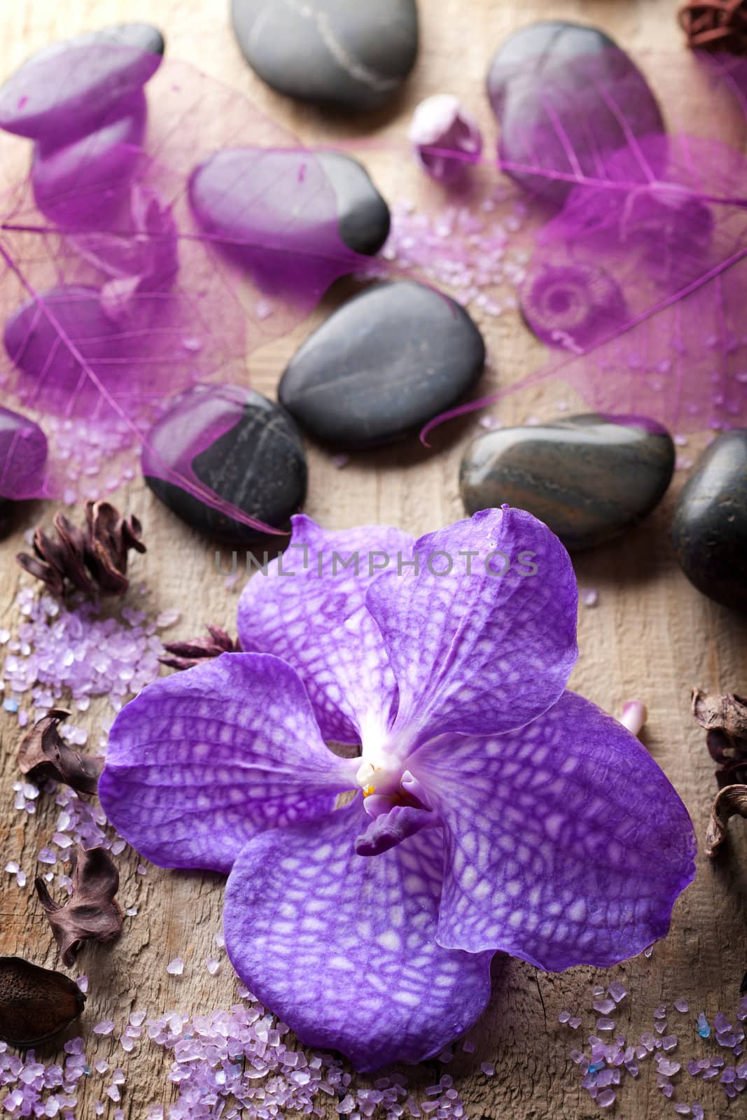 orchid flower for spa