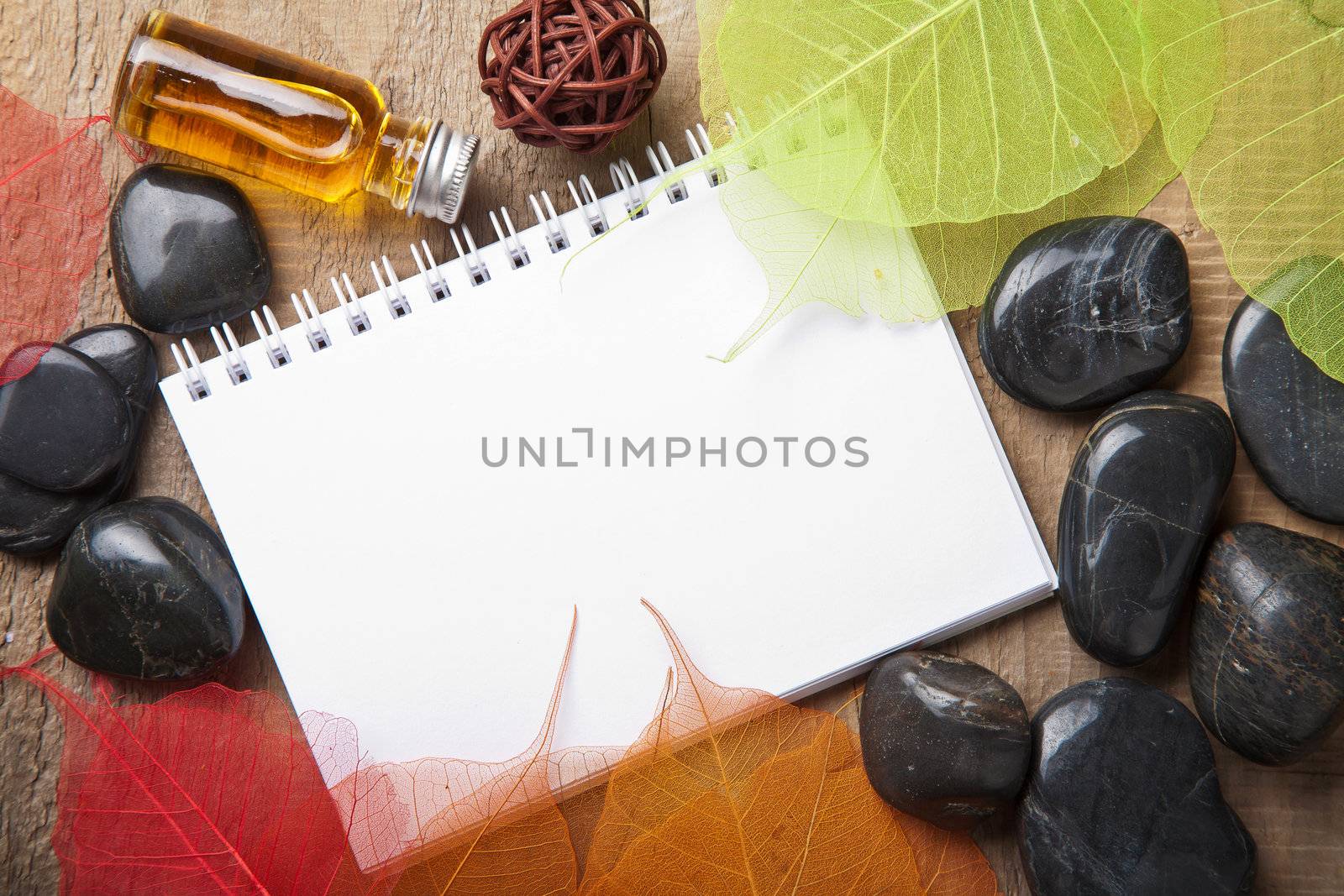 notebook for spa 