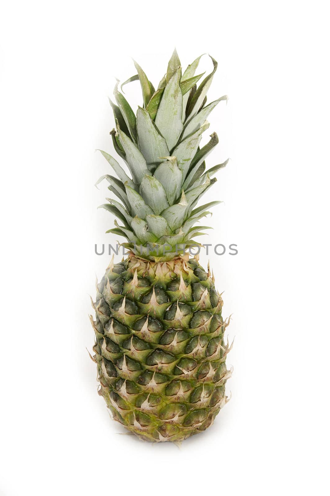 ripe pineapple closeup on white background
