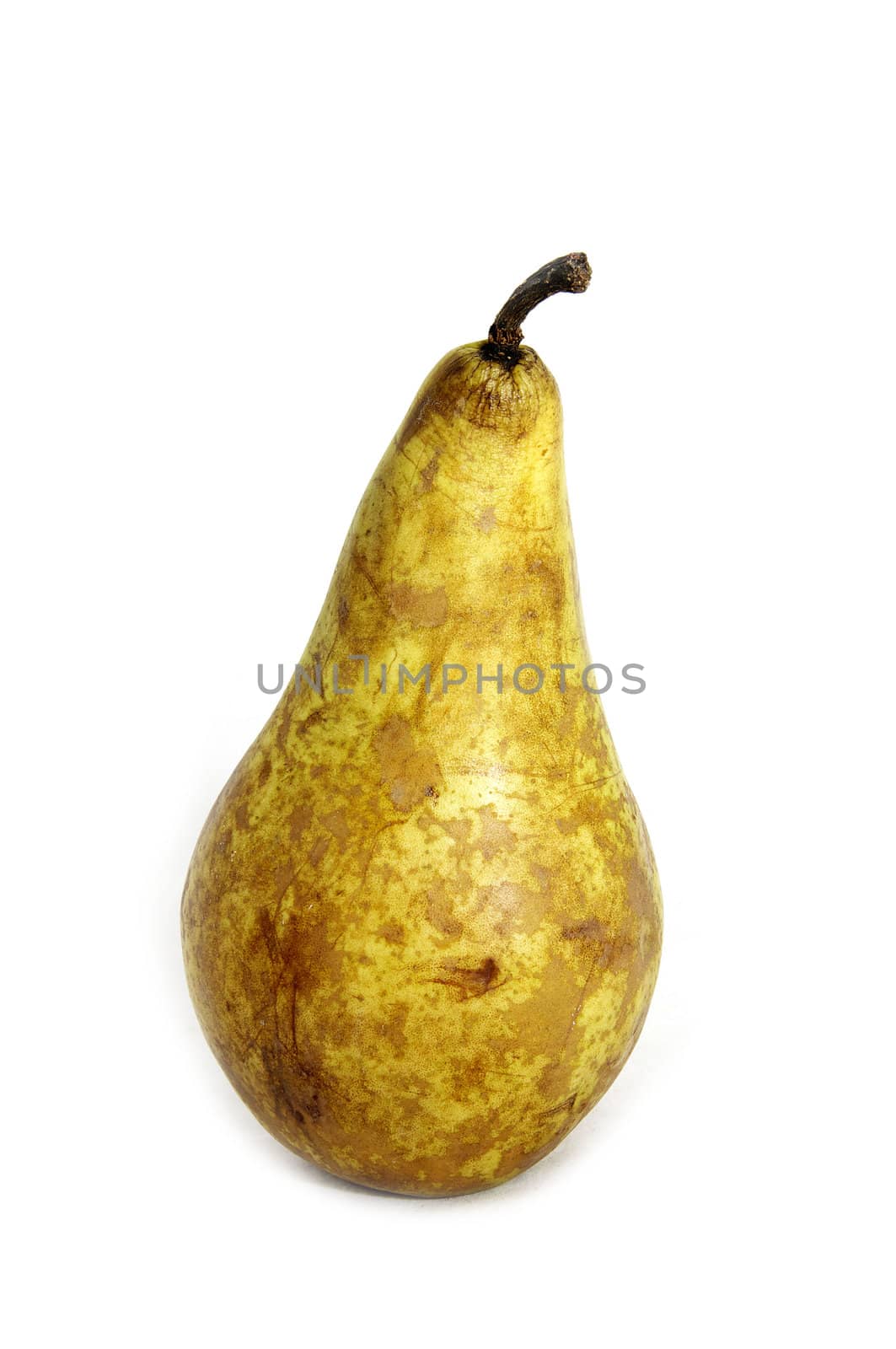 large pear by Lester120