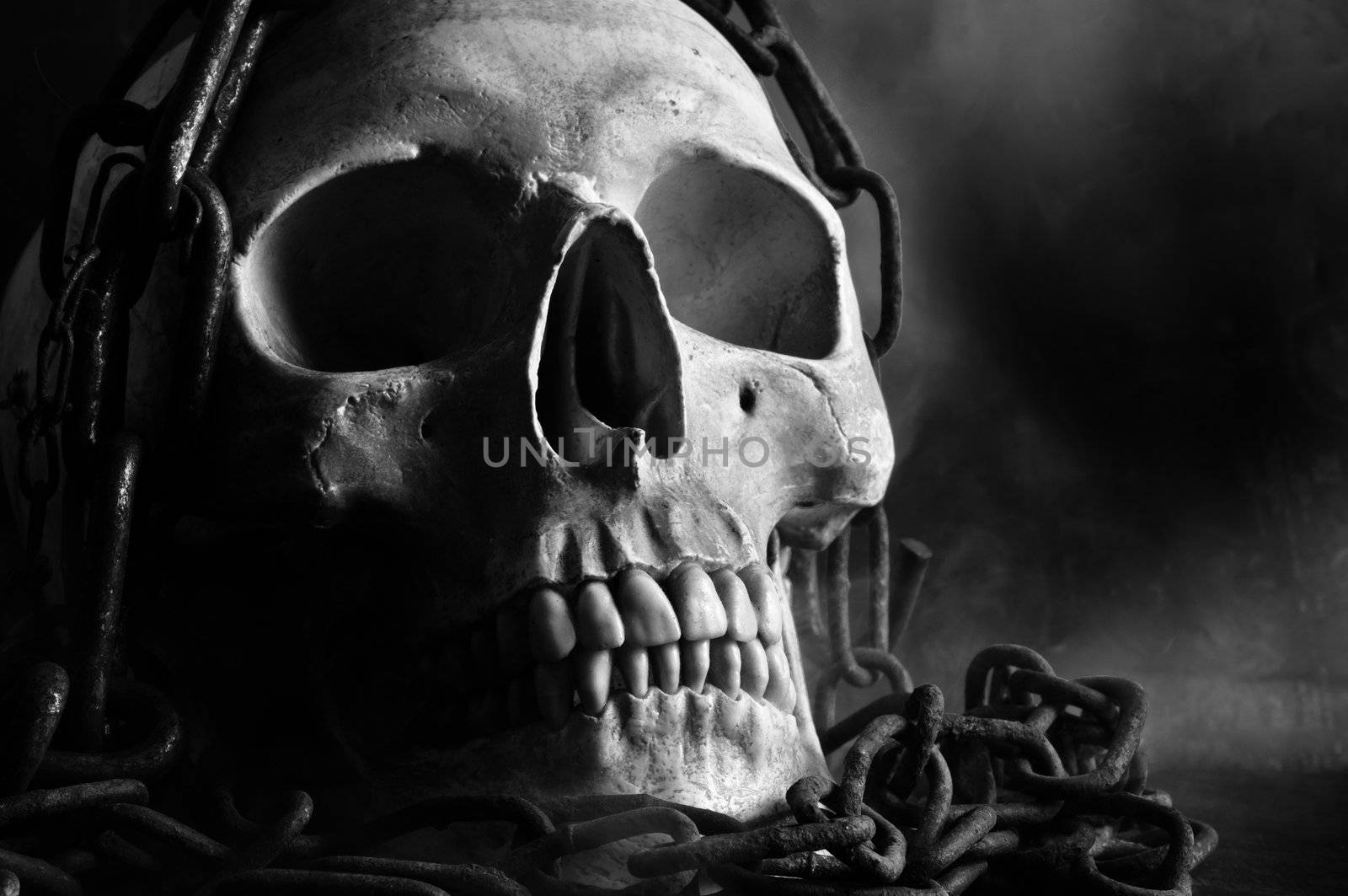 human skull with chain and smoke in black and white