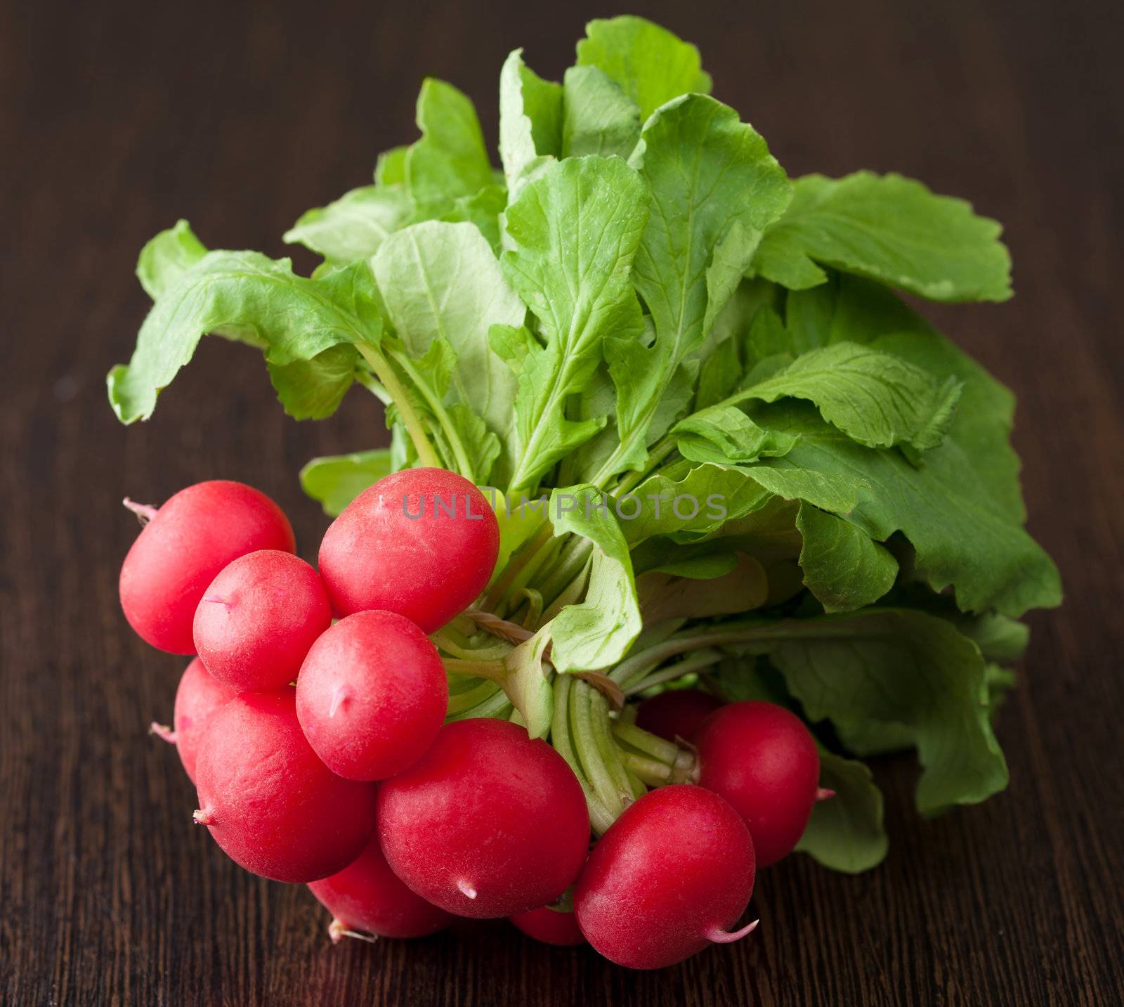 fresh radish 