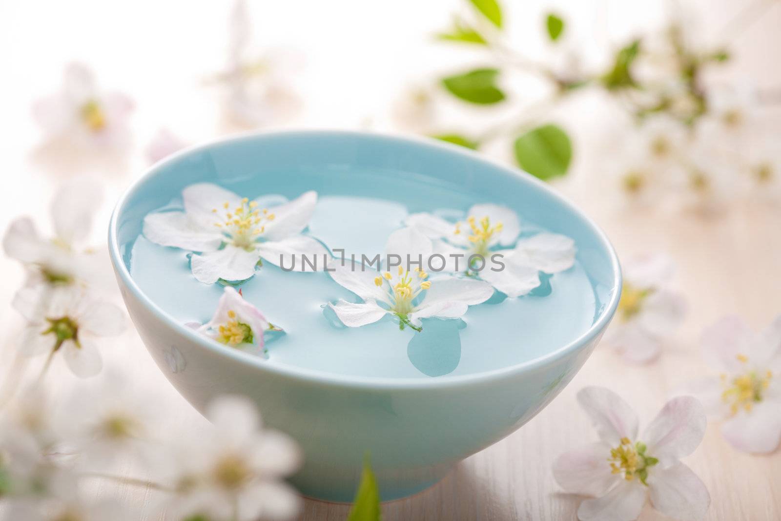 spring flowers for spa and aromatherapy