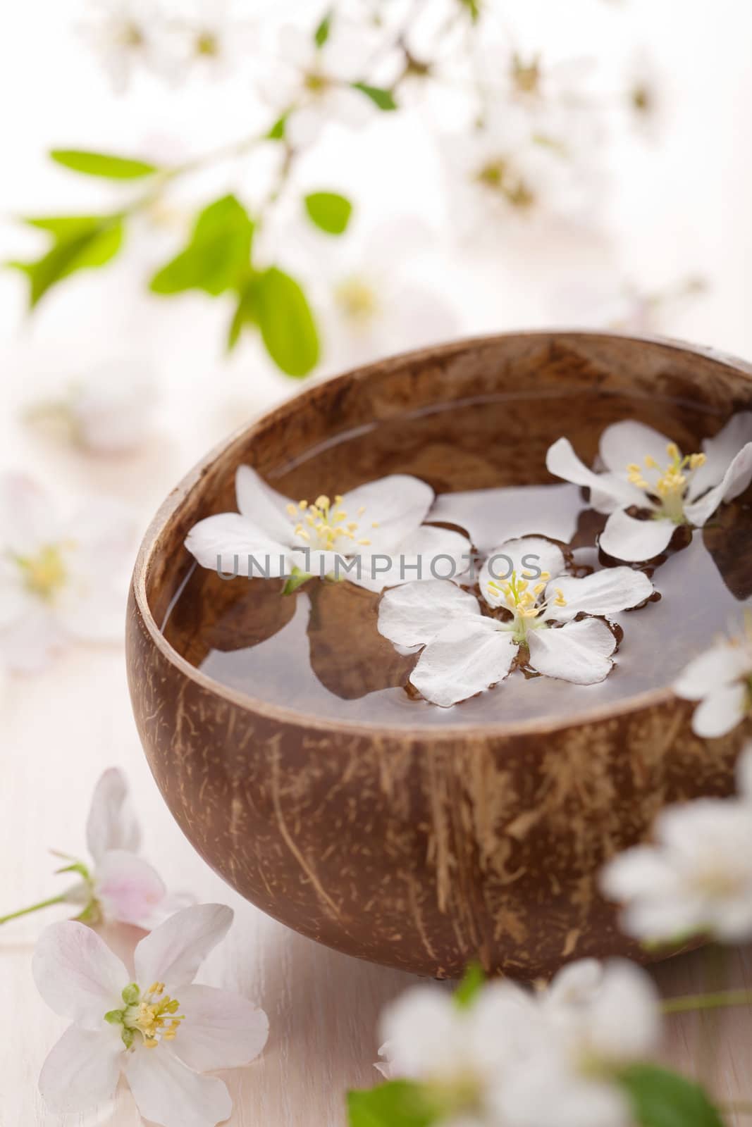 white flowers in bowl for spa