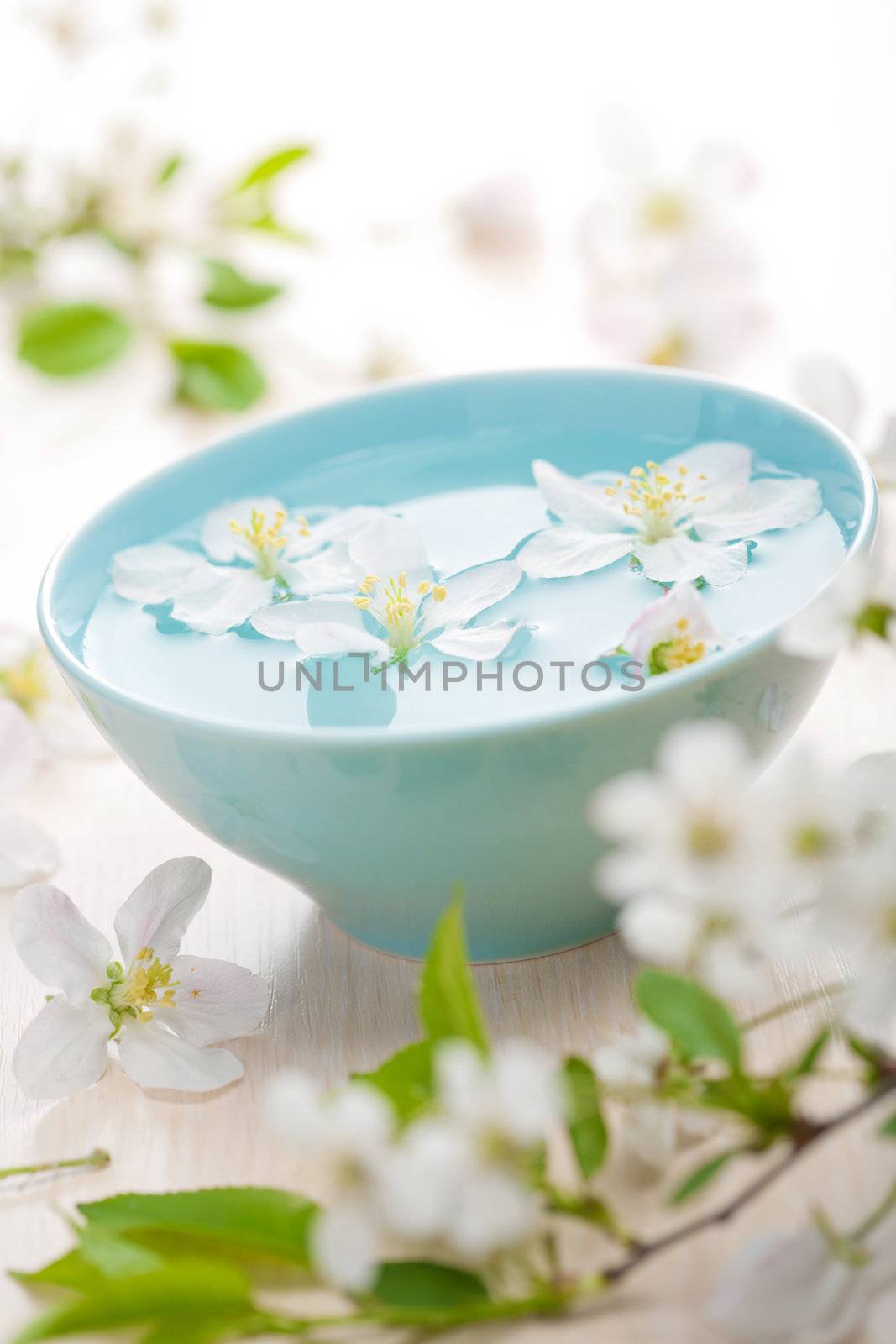 spring flowers for spa and aromatherapy 