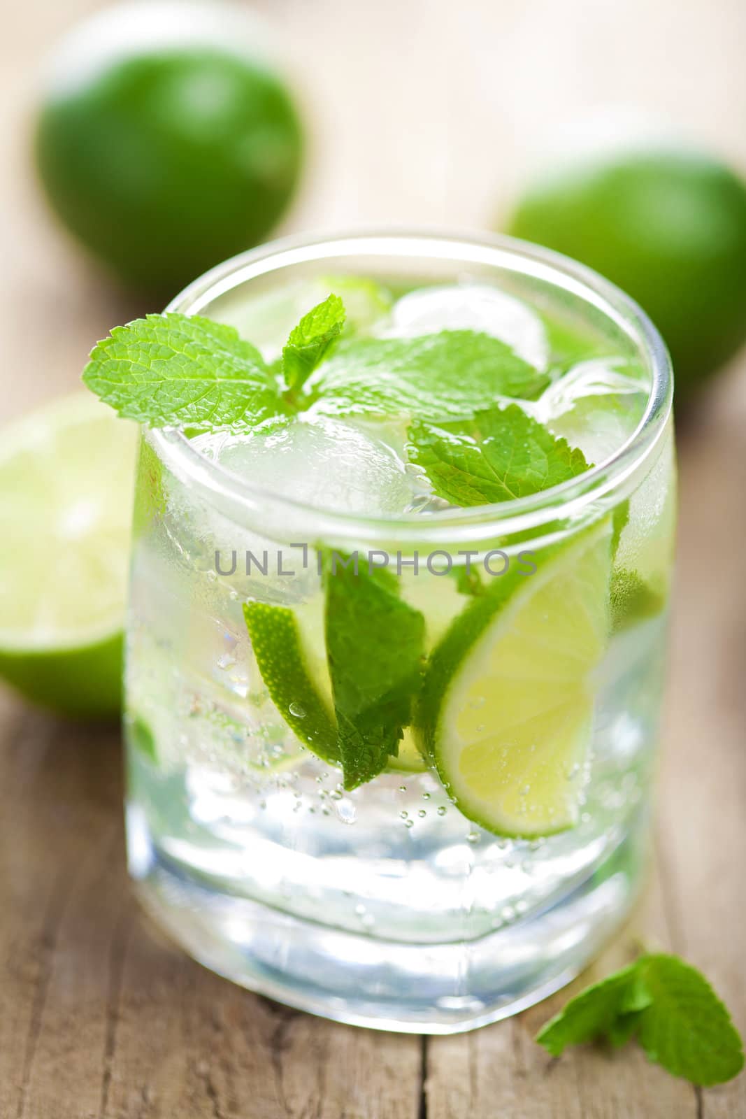 fresh mojito cocktail