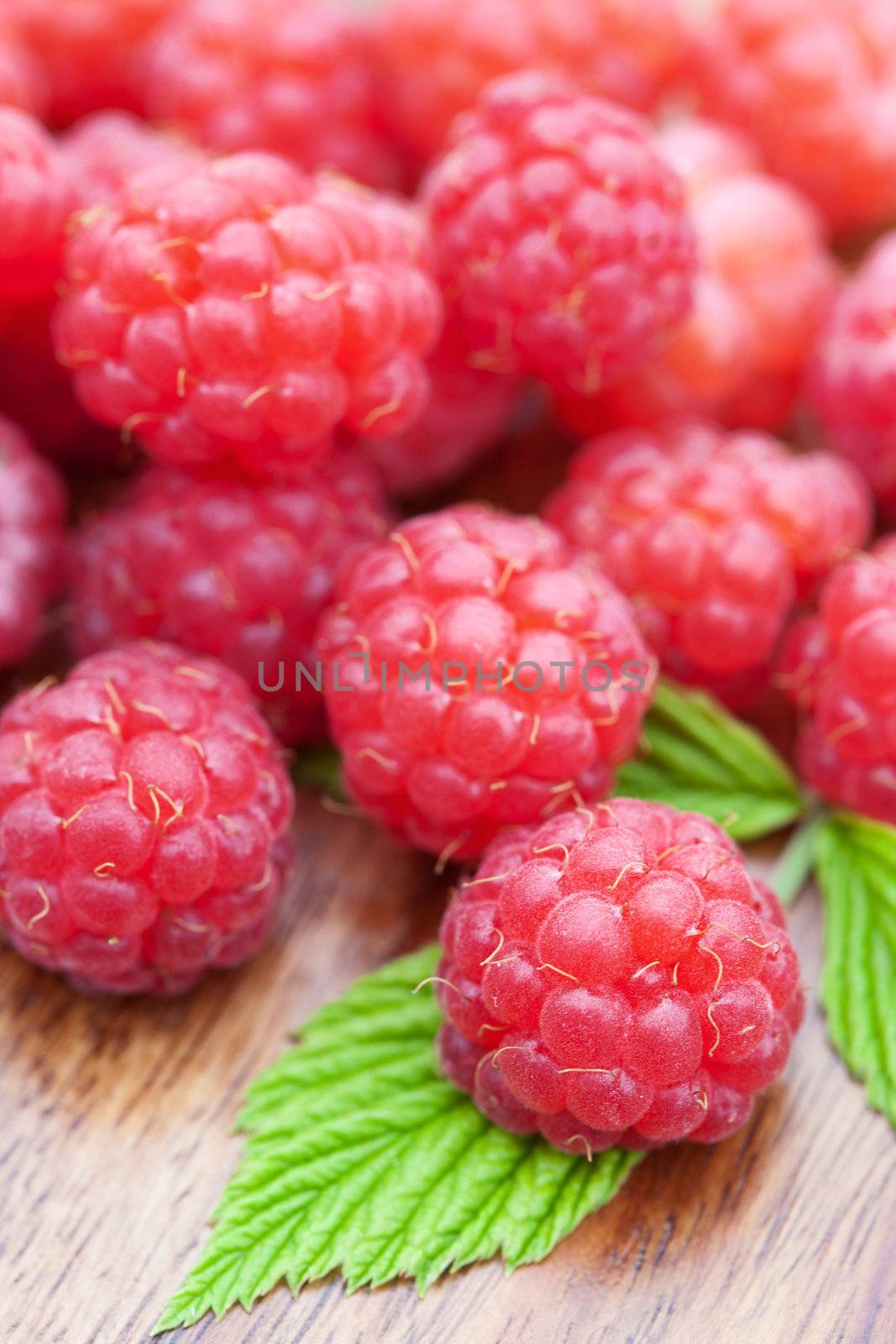 fresh raspberry
