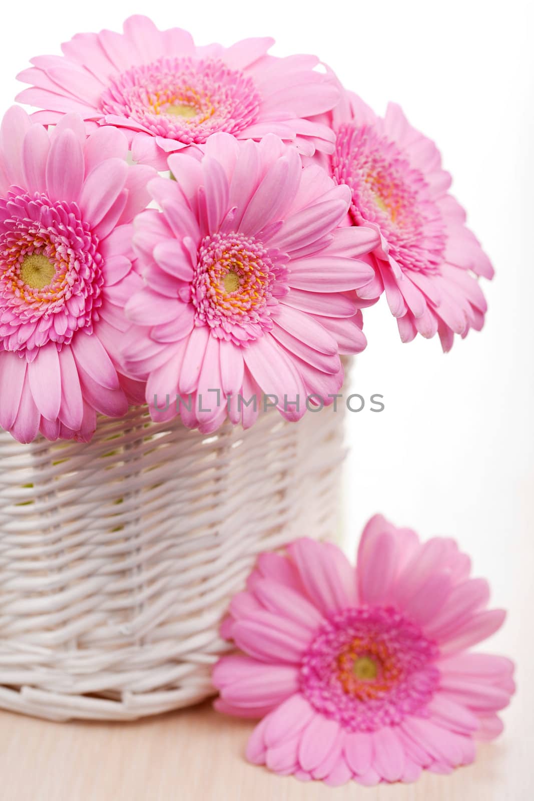 daisies in vase