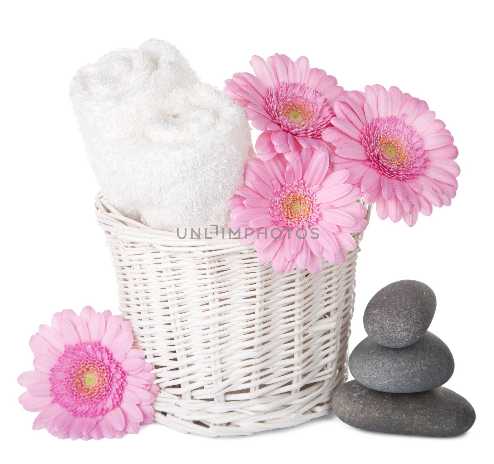 bath and spa set isolated 