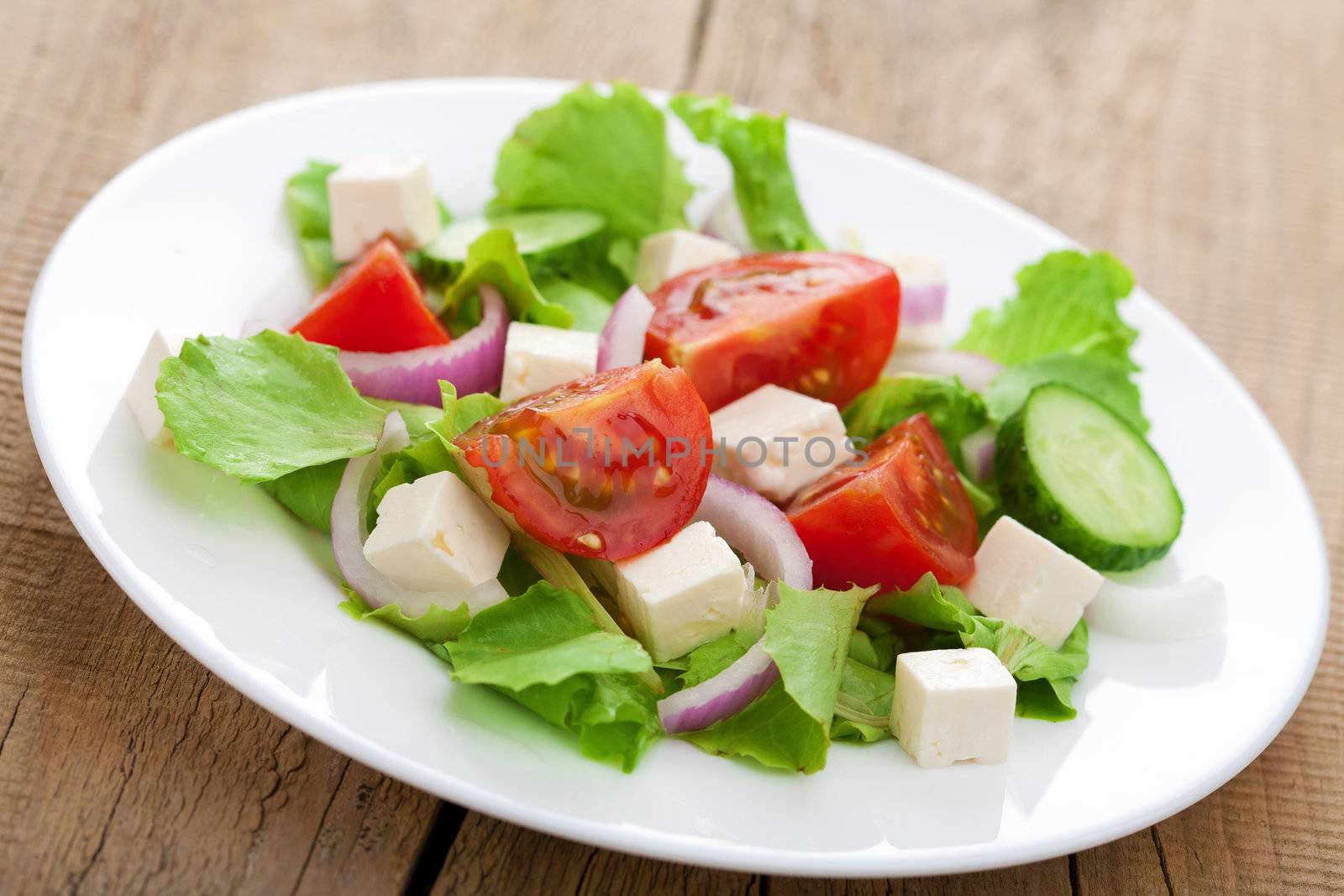 fresh vegetable salad 