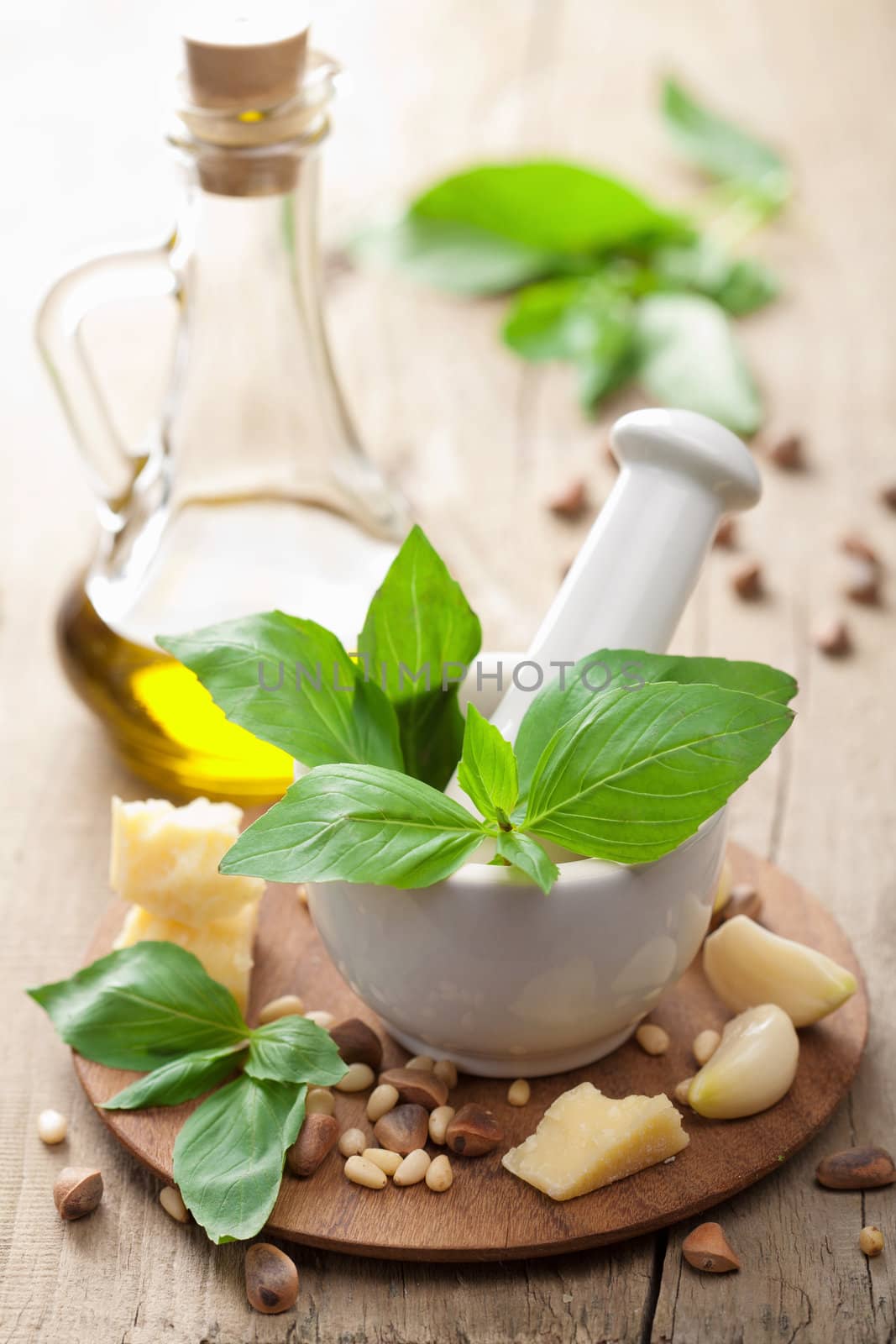 ingredients for pesto sauce 