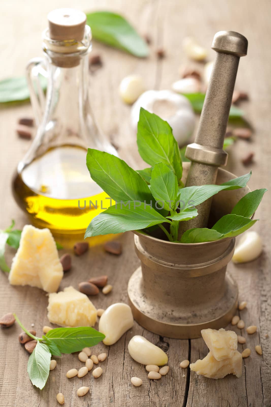 ingredients for pesto sauce