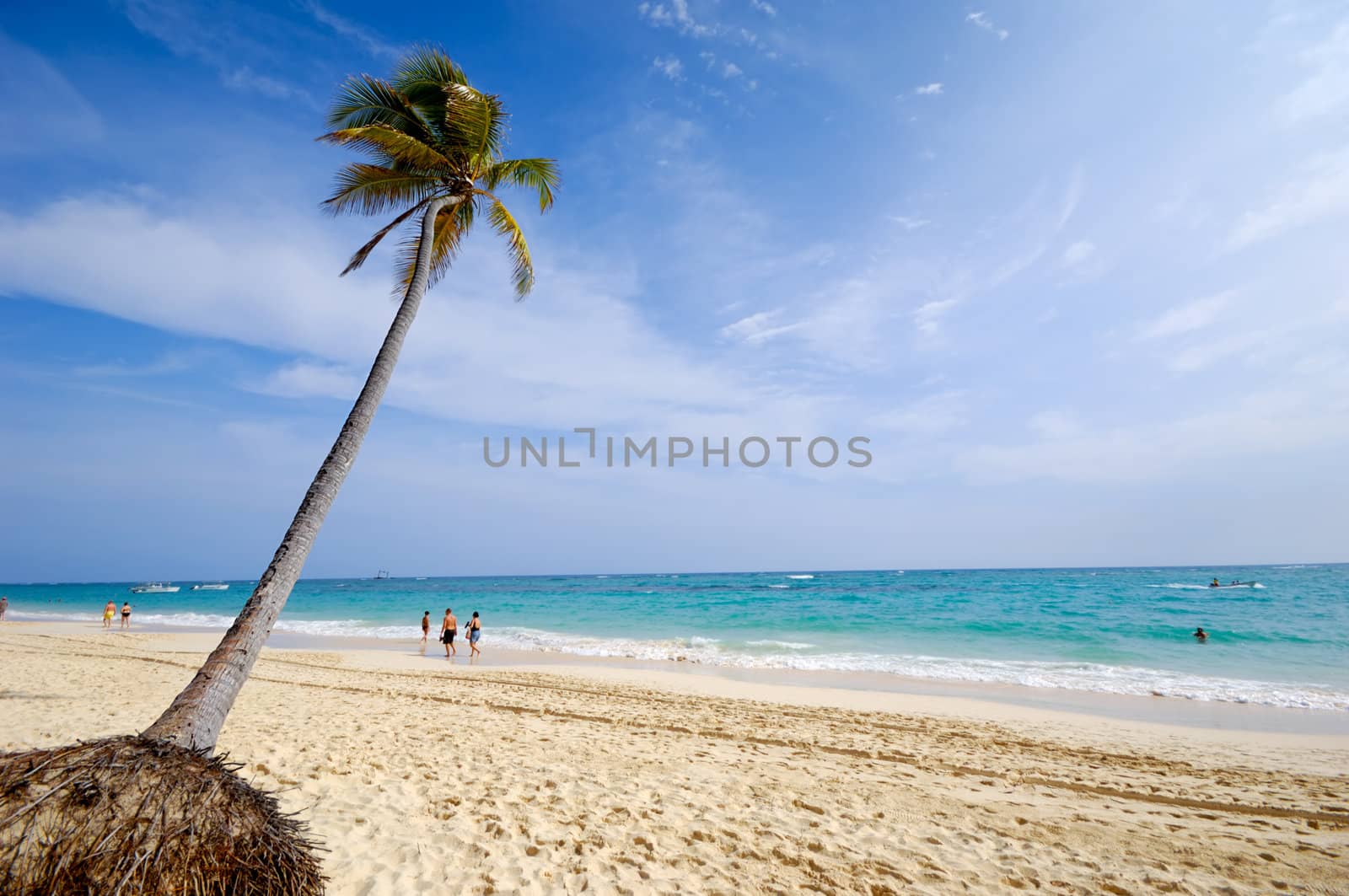 Beach with palm and white sand with the coast in the background