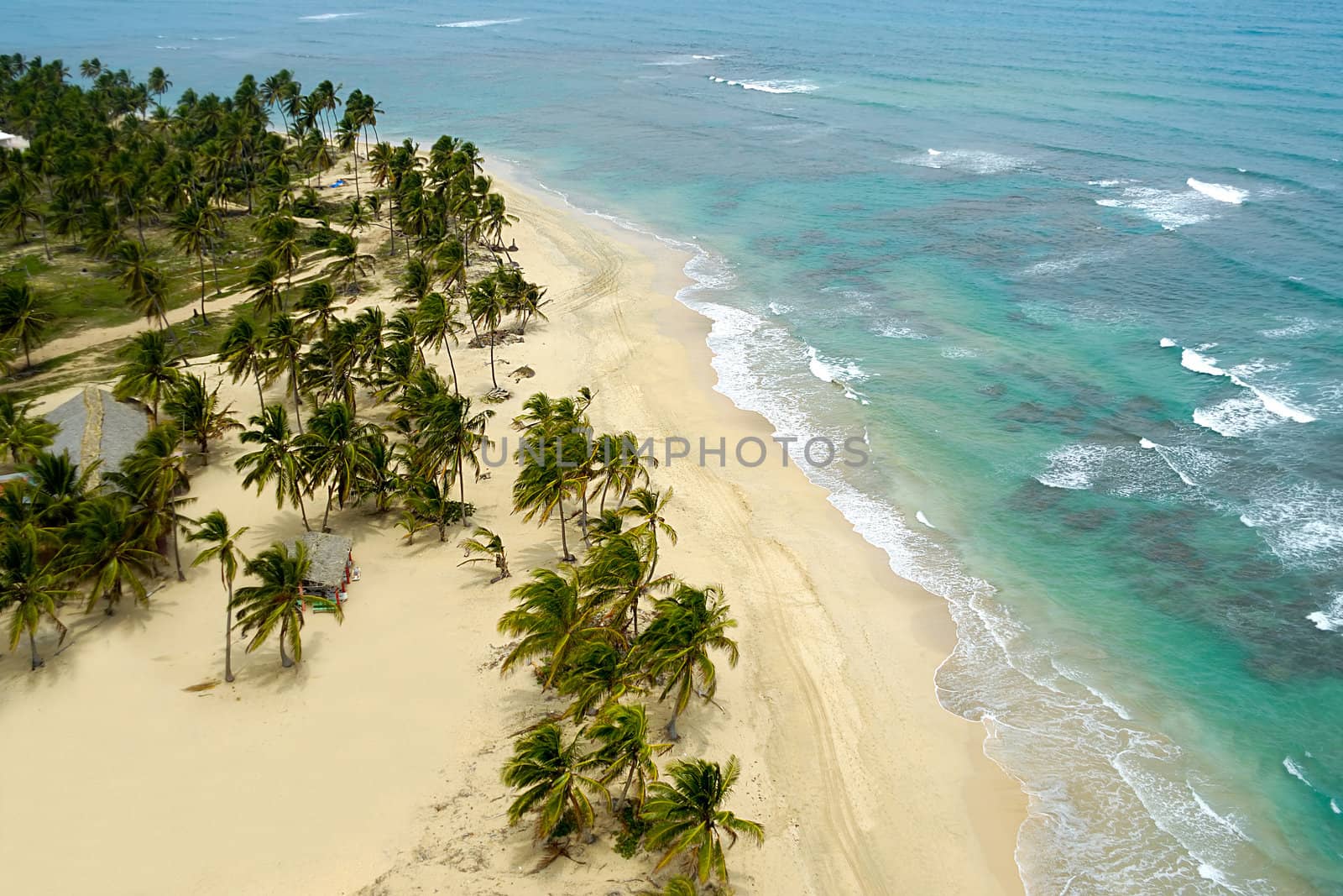 Empty beach seen from above. The dominican republic.