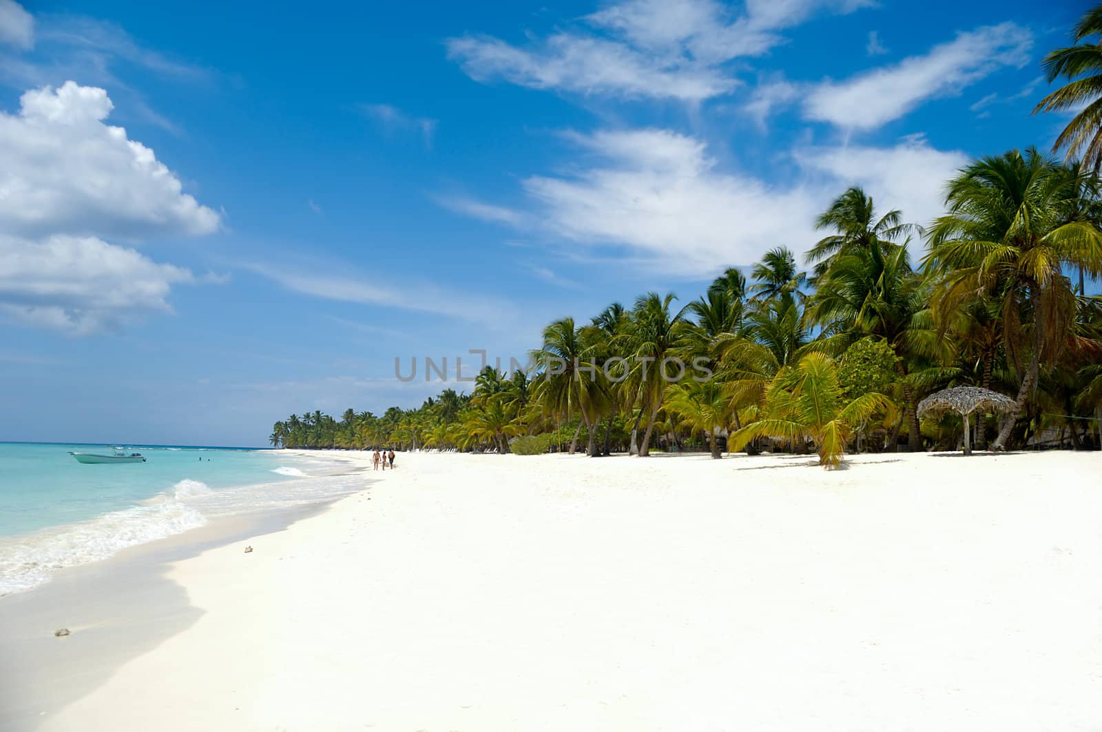 Tropical beach with palm and white sand with the coast in the background