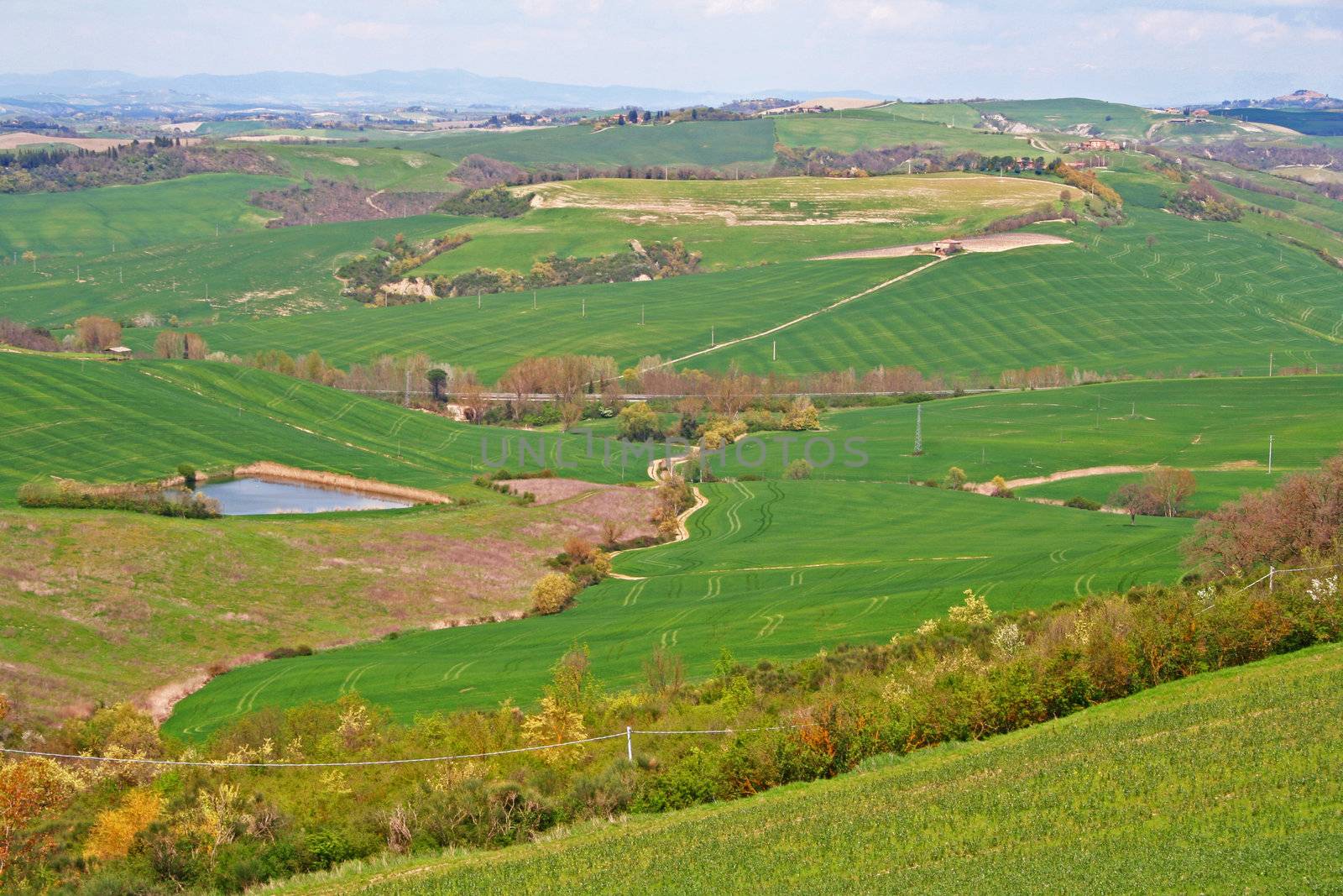 Italy. Val D'Orcia valley. Tuscany landscape