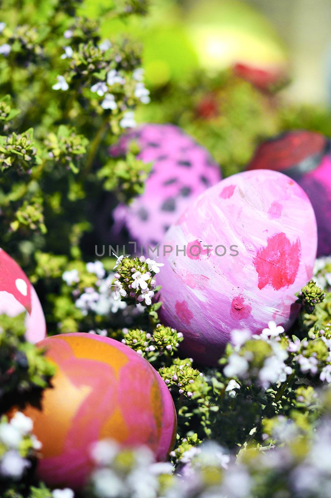 Row of Easter Eggs with Daisy on Fresh Green Grass 