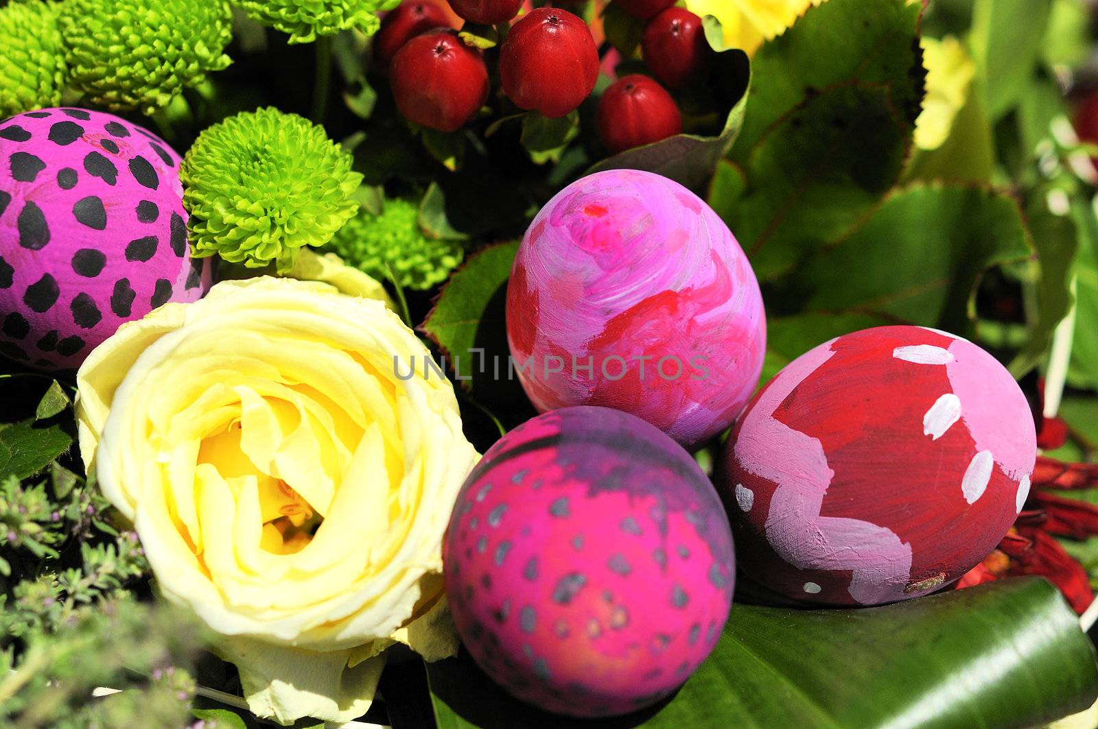 Row of Easter Eggs with Daisy on Fresh Green Grass 