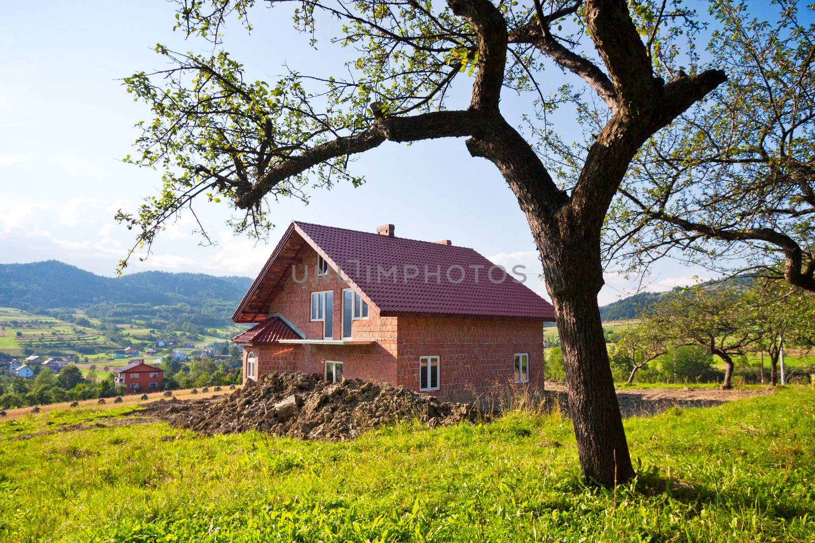 Apple tree and new house