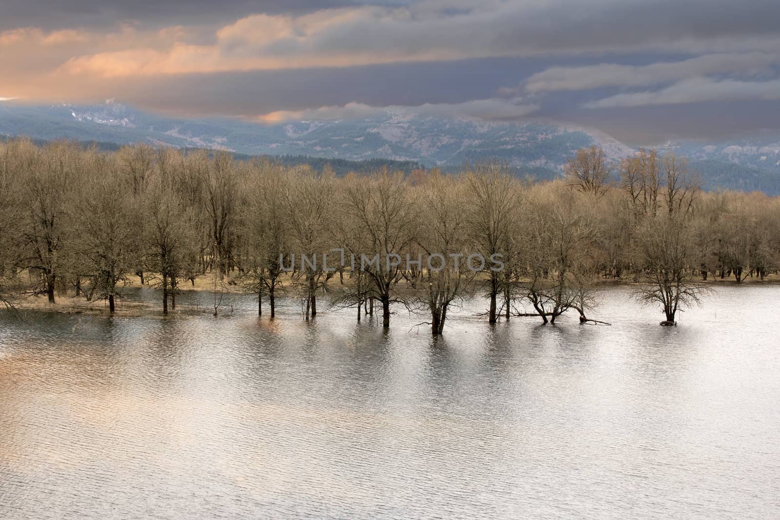 High Water on Wetlands at Columbia River Gorge Oregon