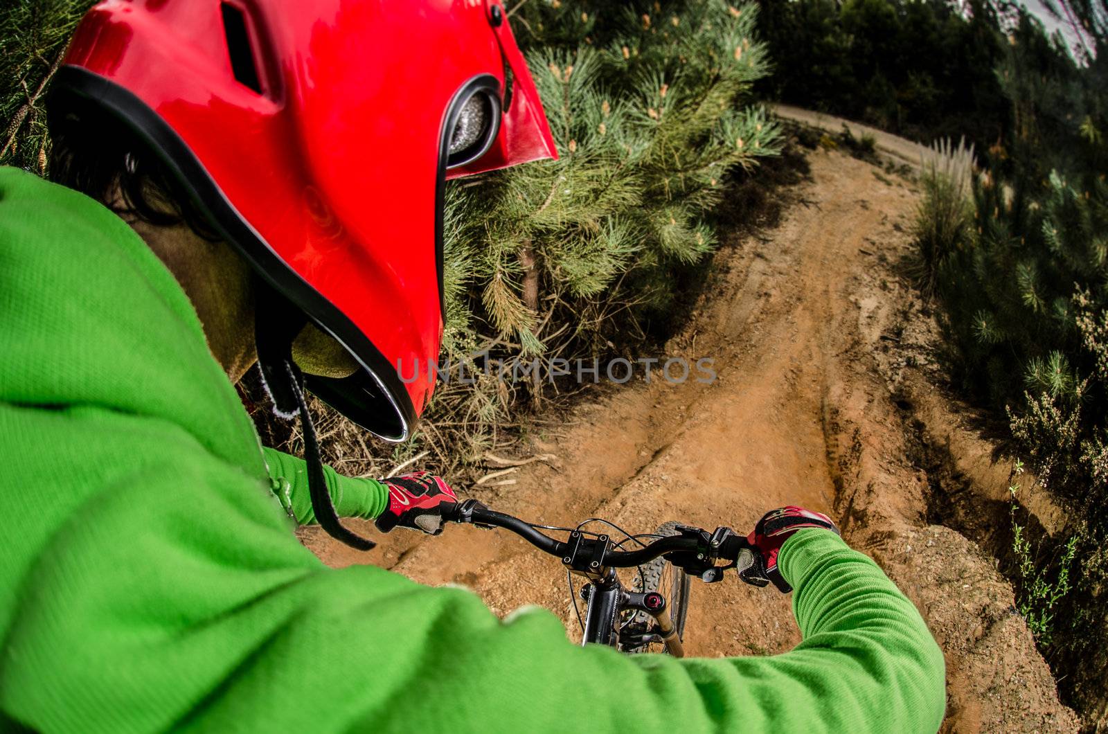 MTB downhill biking in the forest.