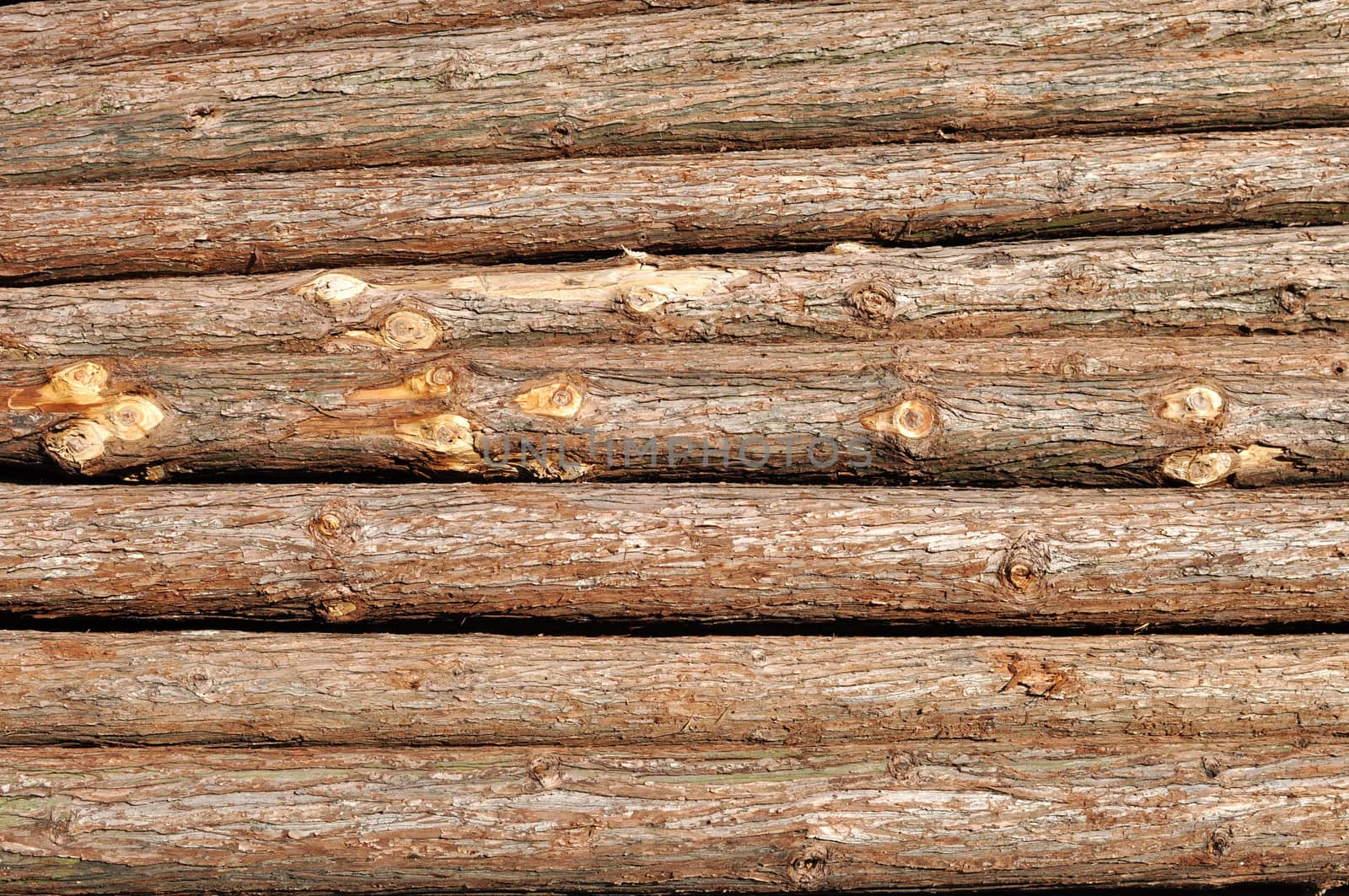 Pile of lumbered pine log
