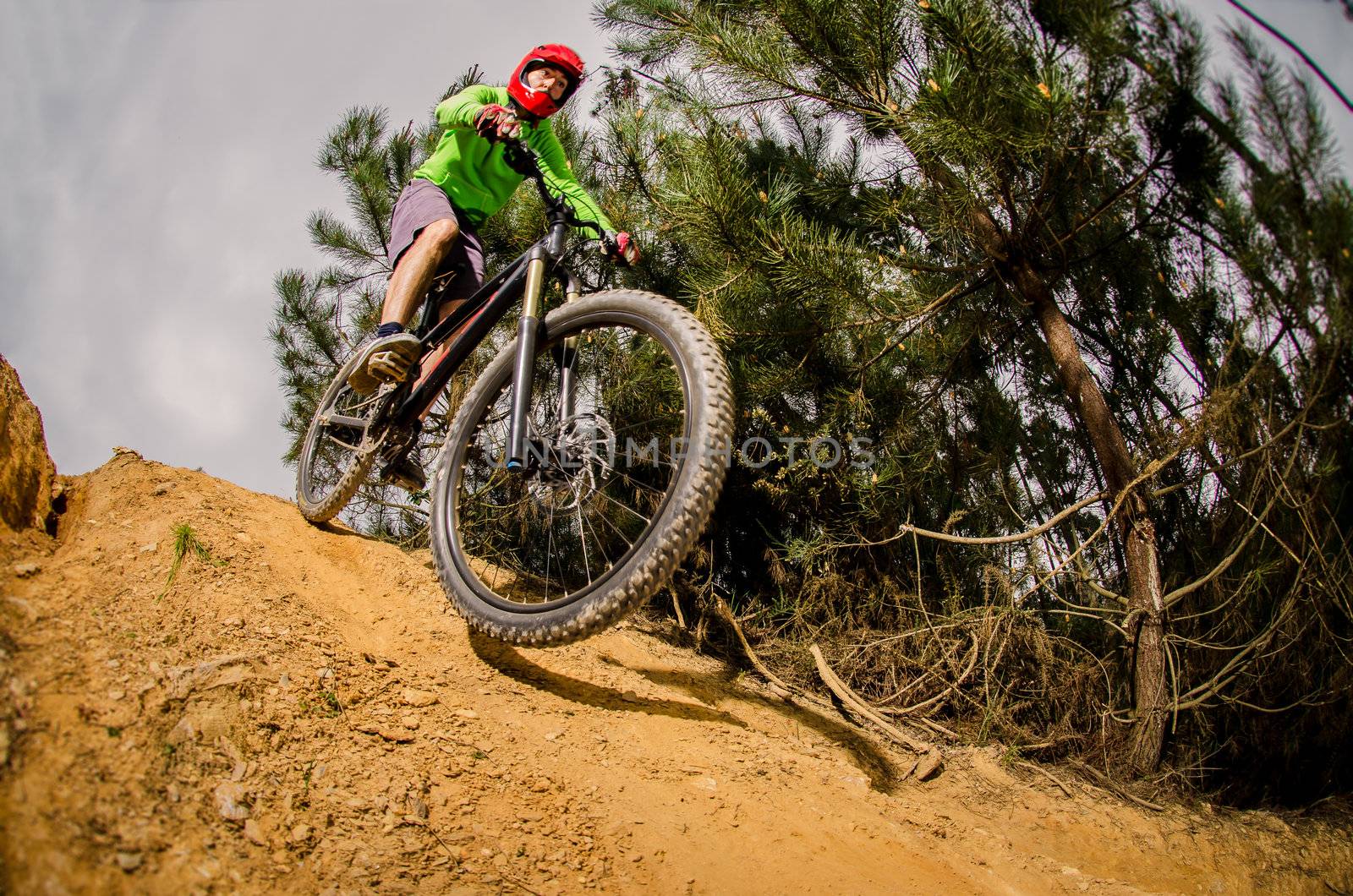 MTB downhill biking in the forest.