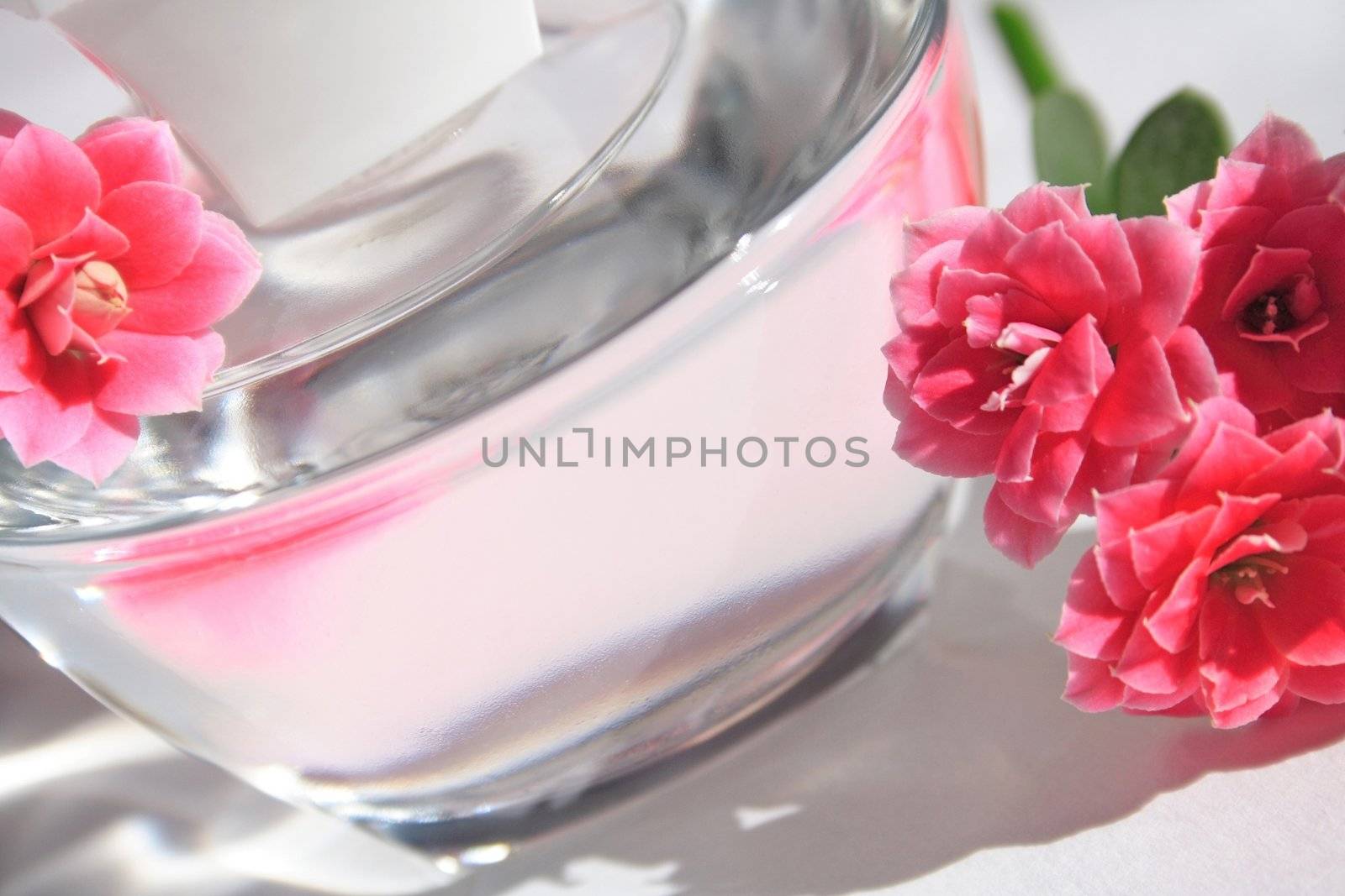 perfume bottle with red flowers with reflection.