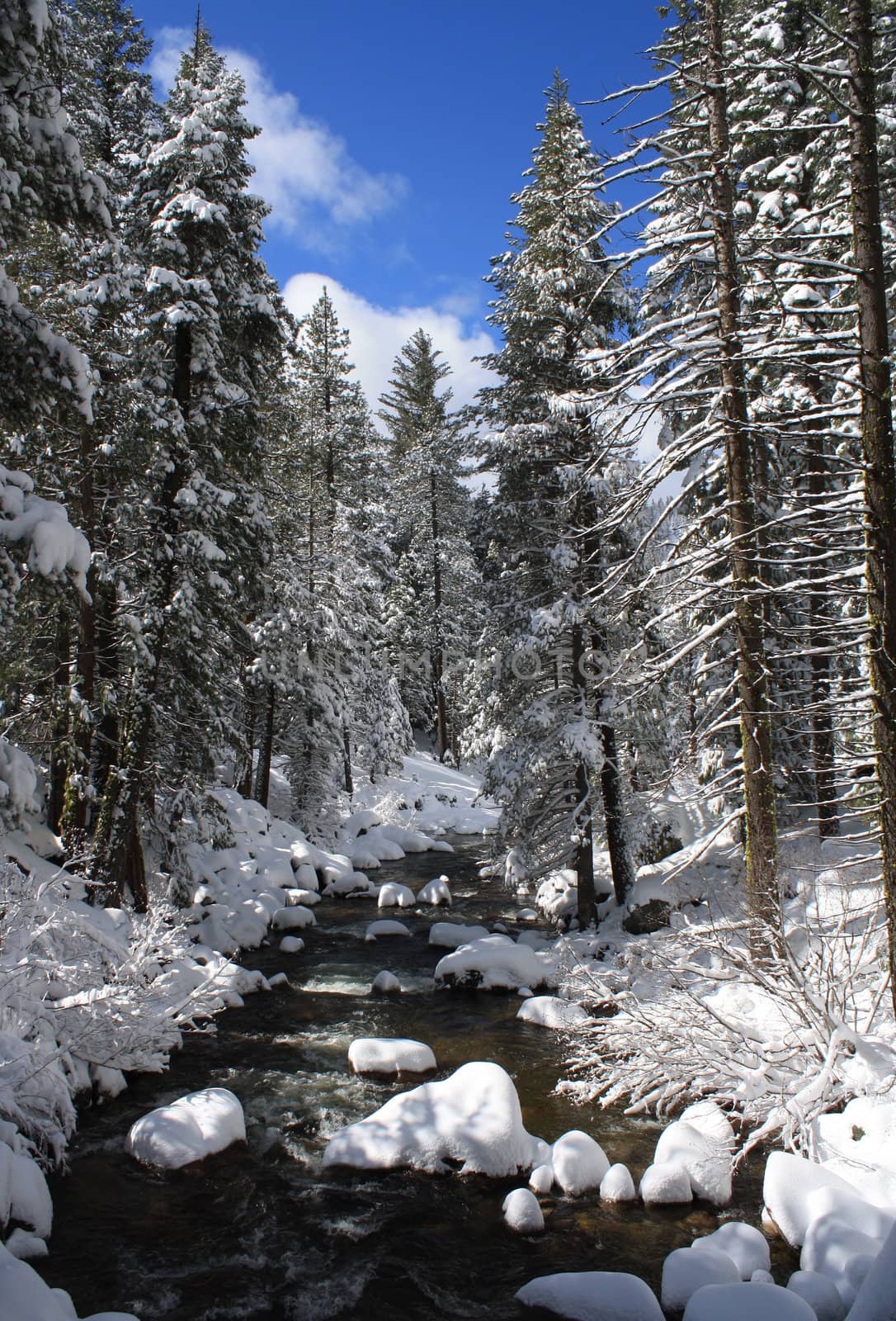North Fork American River in Winter Donner Summit California
