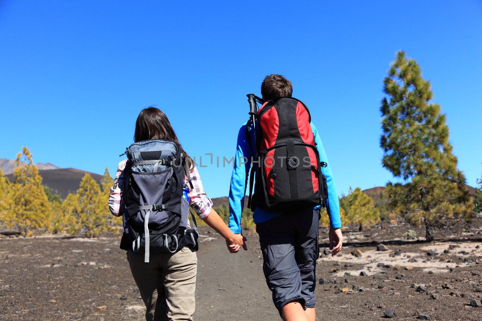 Hiking couple holding hands walking on volcano landscape on Teide, Tenerife, Canary Islands, Spain.