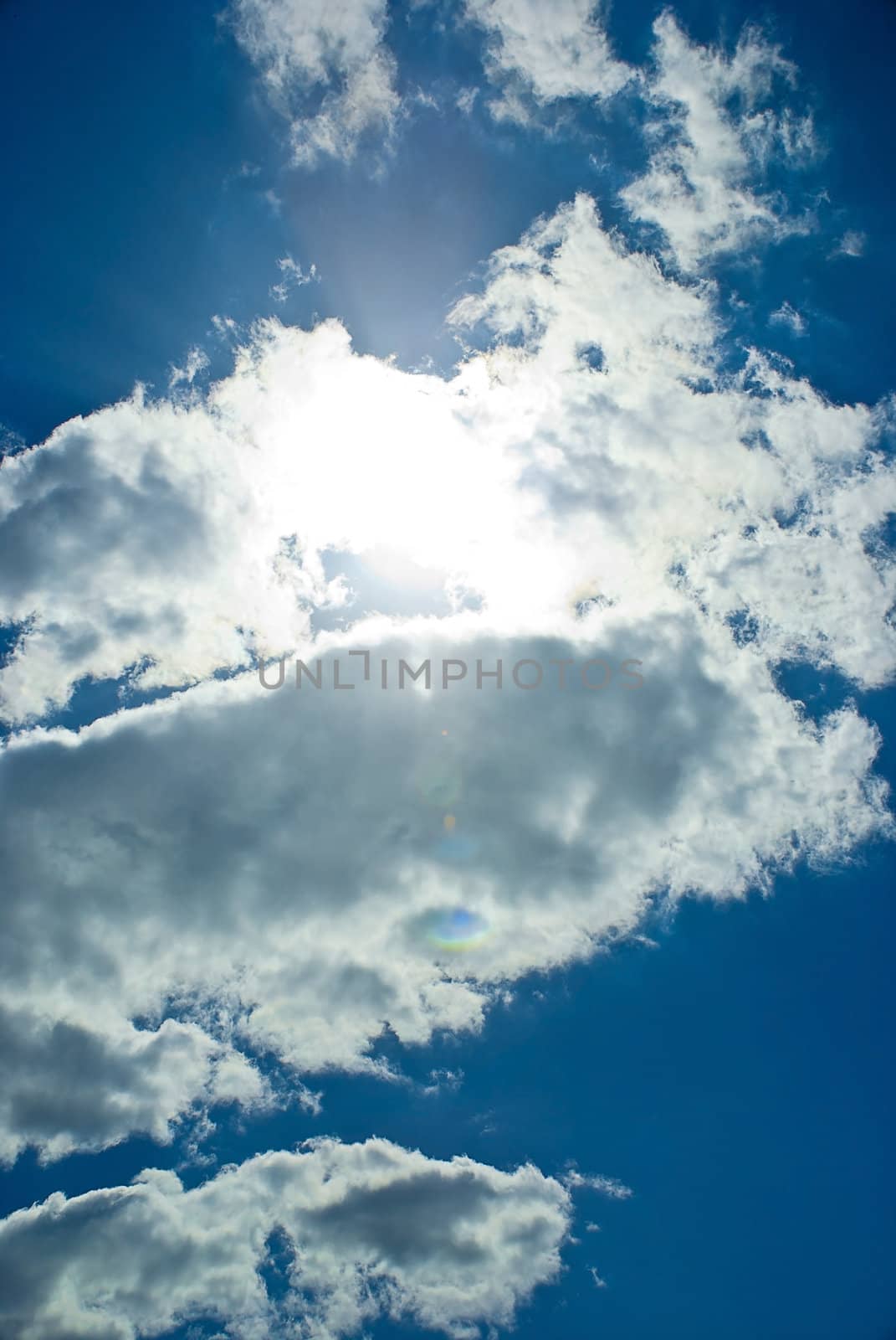 Blue sky with thick clouds in the background.
