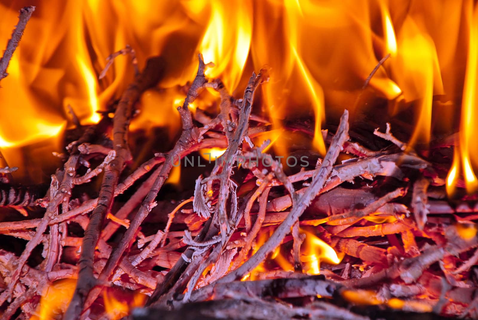 Burning wood in the fireplace and the flames.