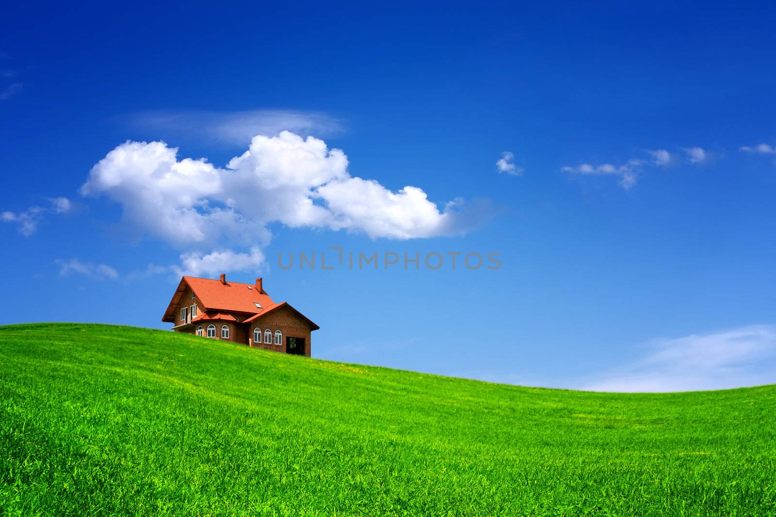 House on green field by Wajan