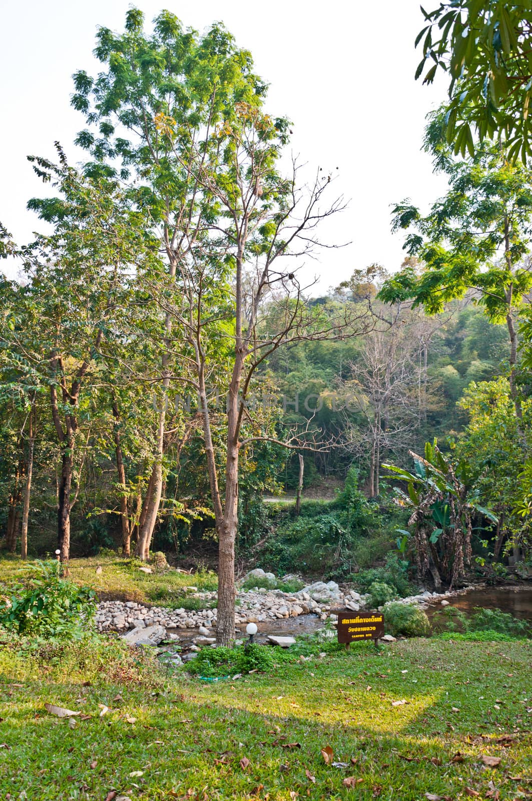 Camping area in wild nature