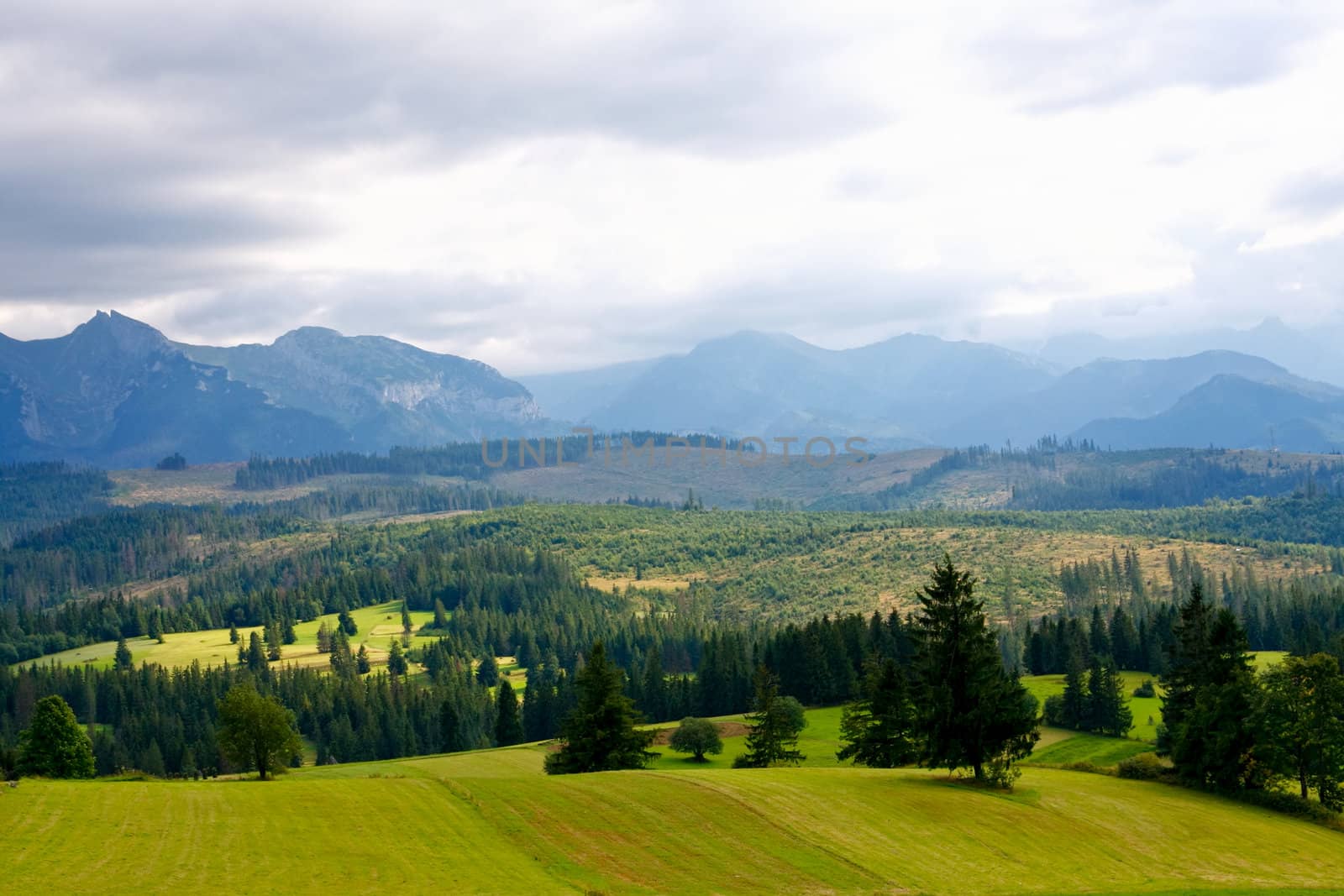 Grass field with High Tatras