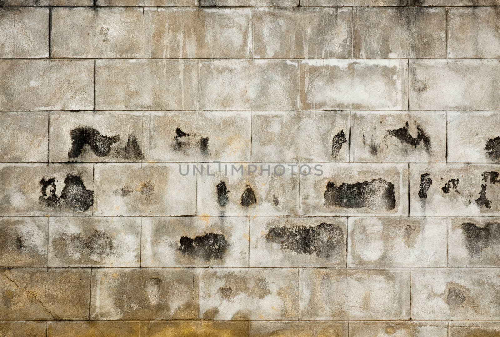 Grunge Concrete Wall texture background