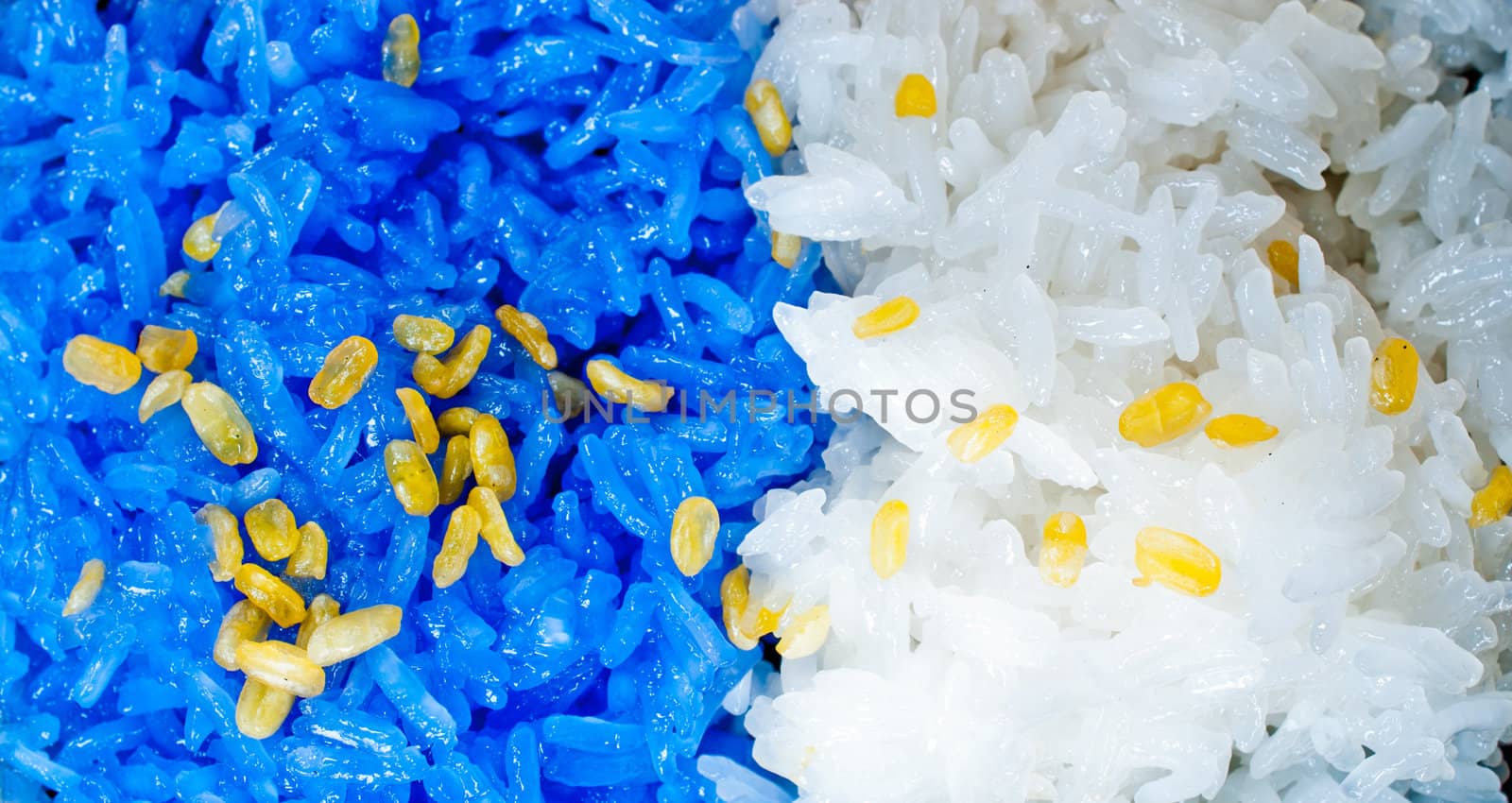 Glutinous rice eat with mangoes closeup