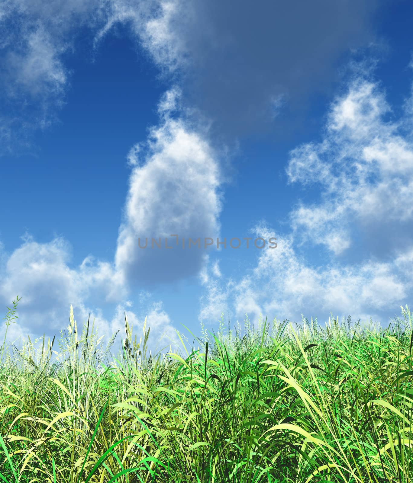 juicy green grass on a background cloudy sky