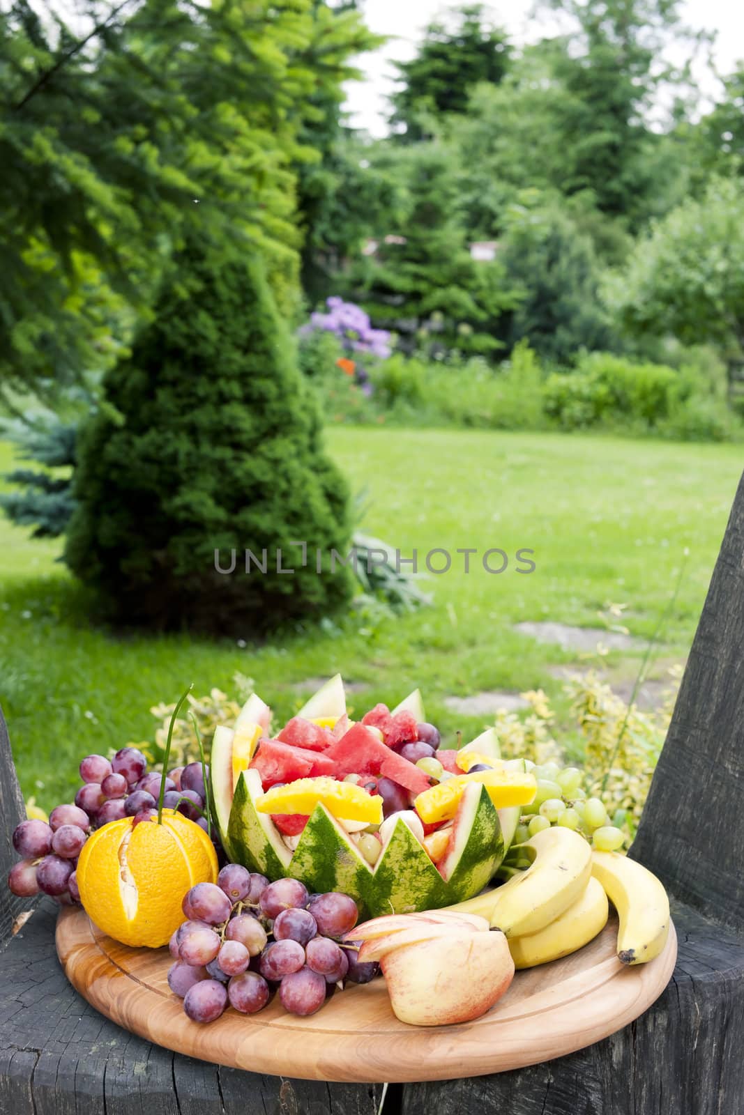 fruit still life with water melon in garden