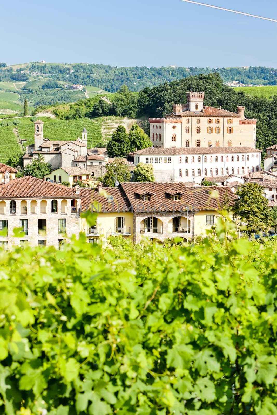 Barolo, Piedmont, Italy by phbcz