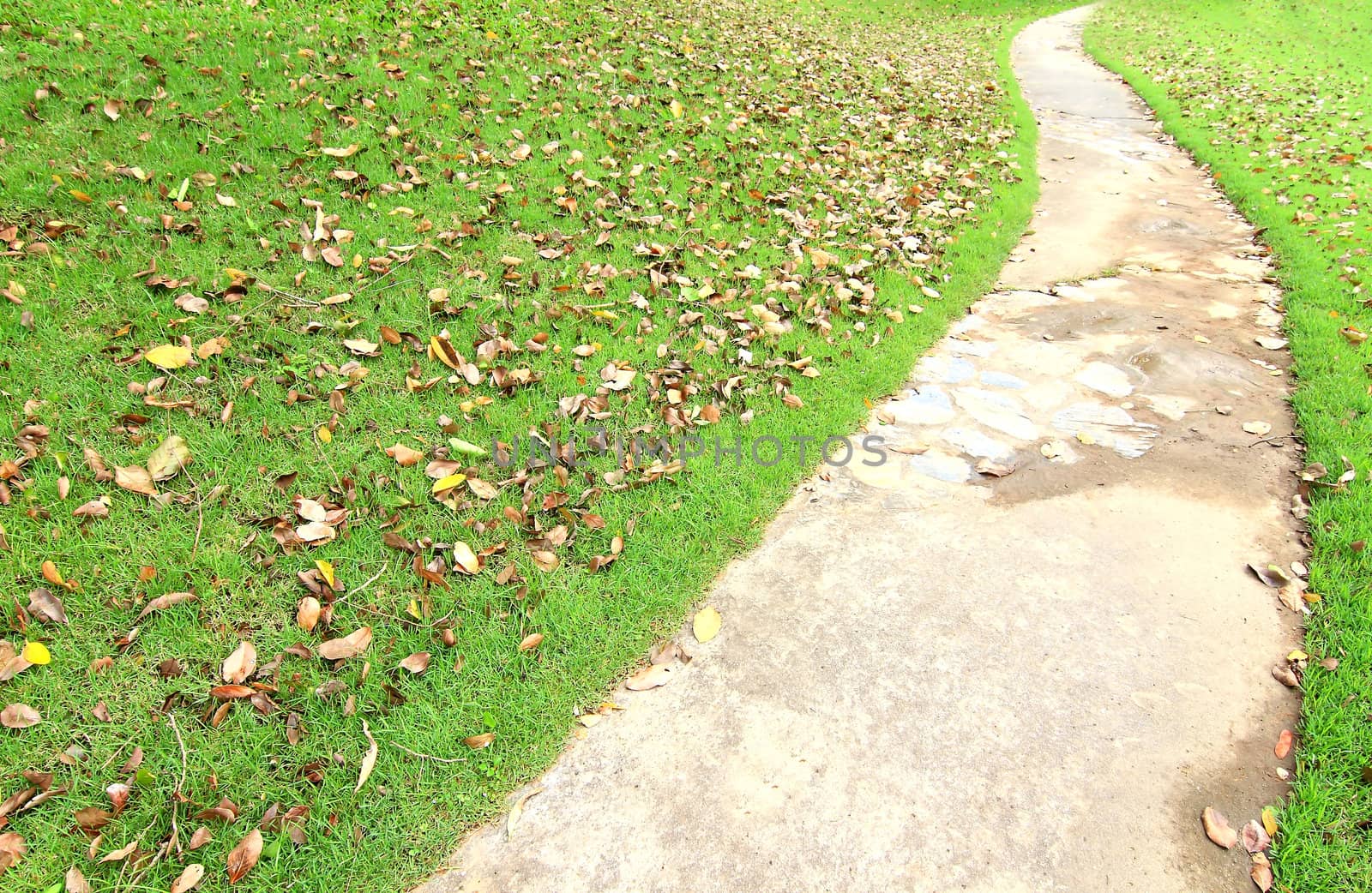 Garden stone path with grass  by rufous