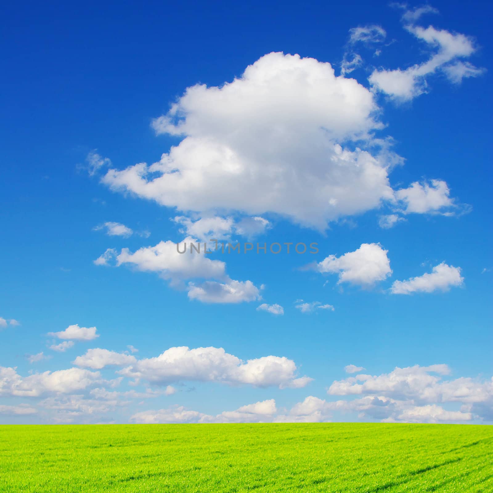  field of green grass and blue cloudy sky