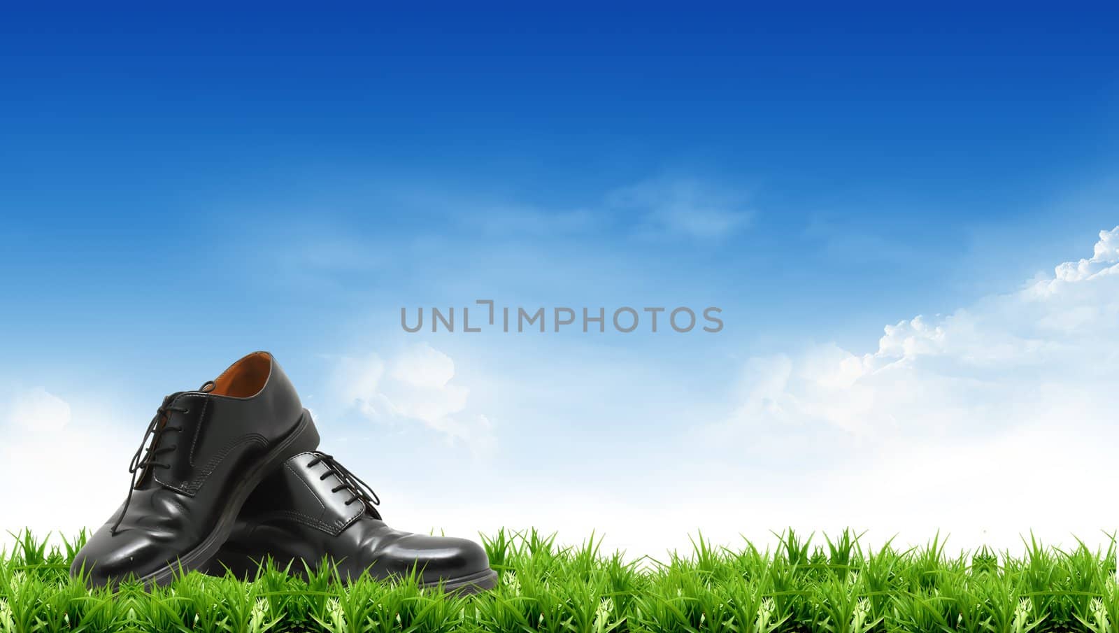 Leather shoes with a bright sky.
 by rufous