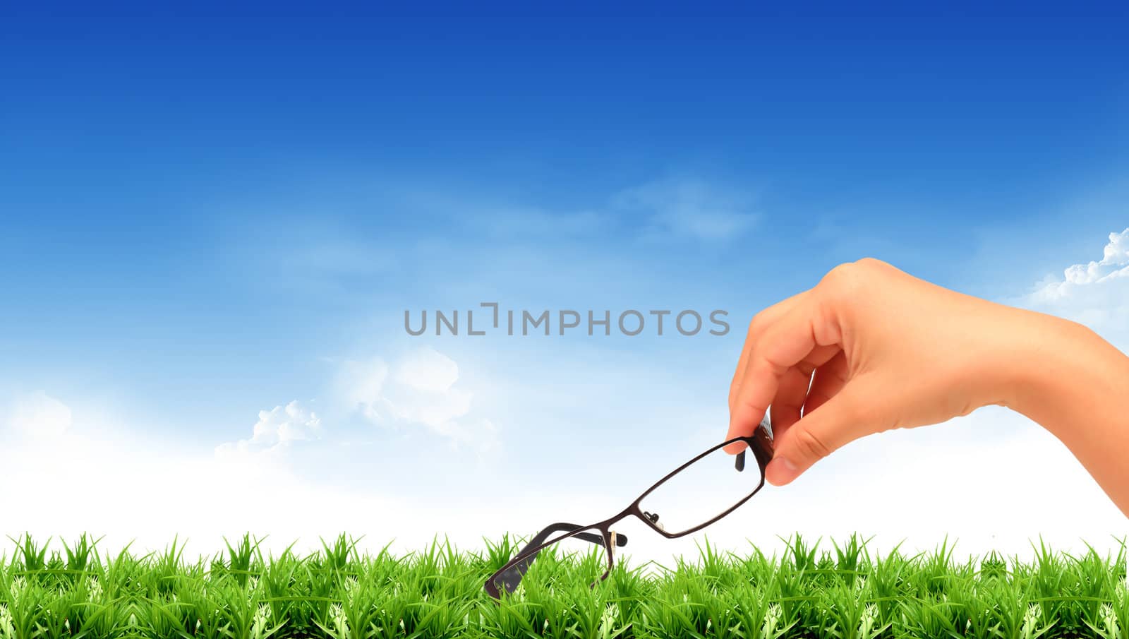 Glasses and a bright sky.
 by rufous